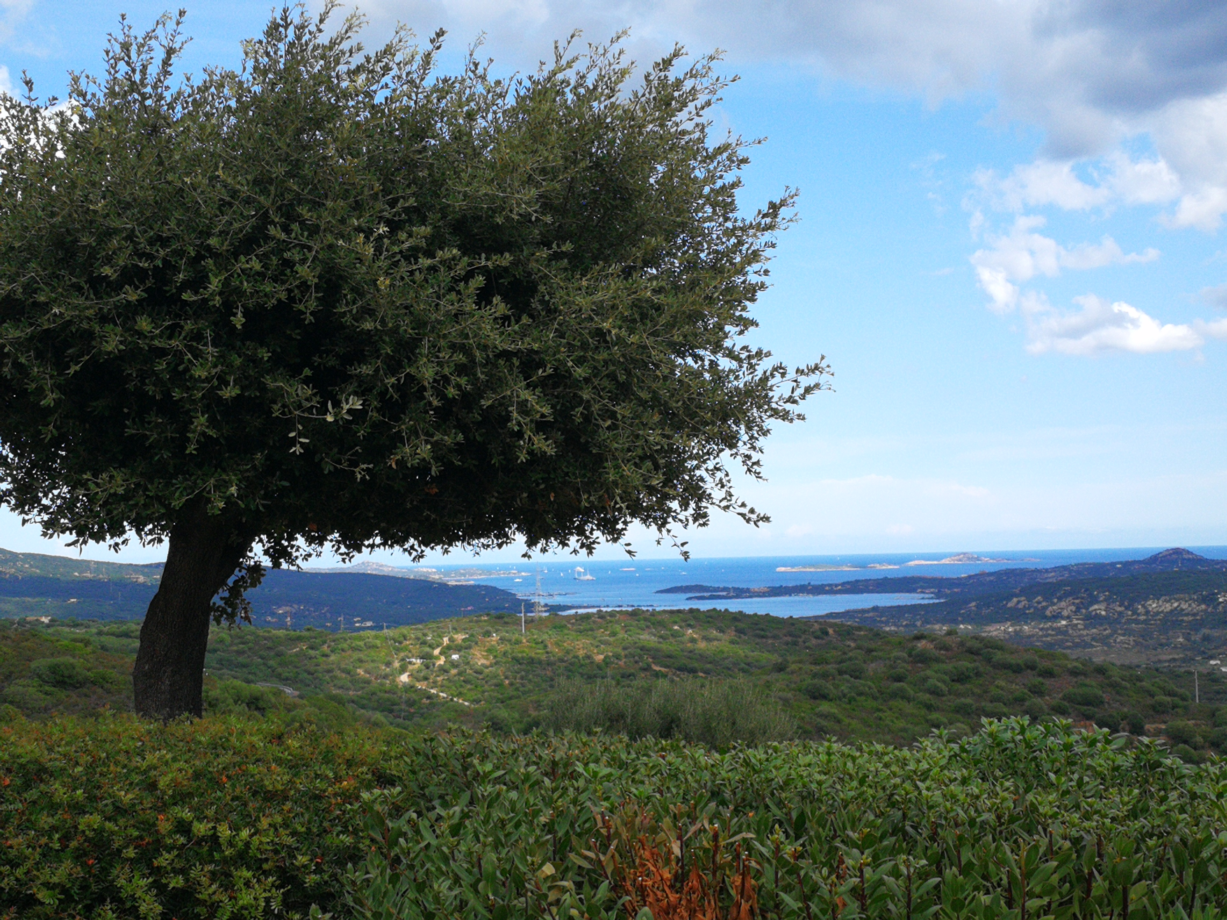VistaMare di Puntitti -  relaxing hillside seaview