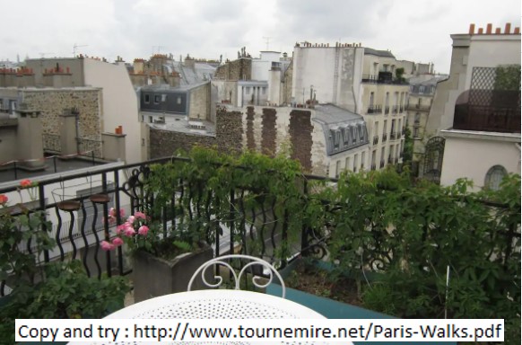 Terrace overlooking the rooftops of Paris