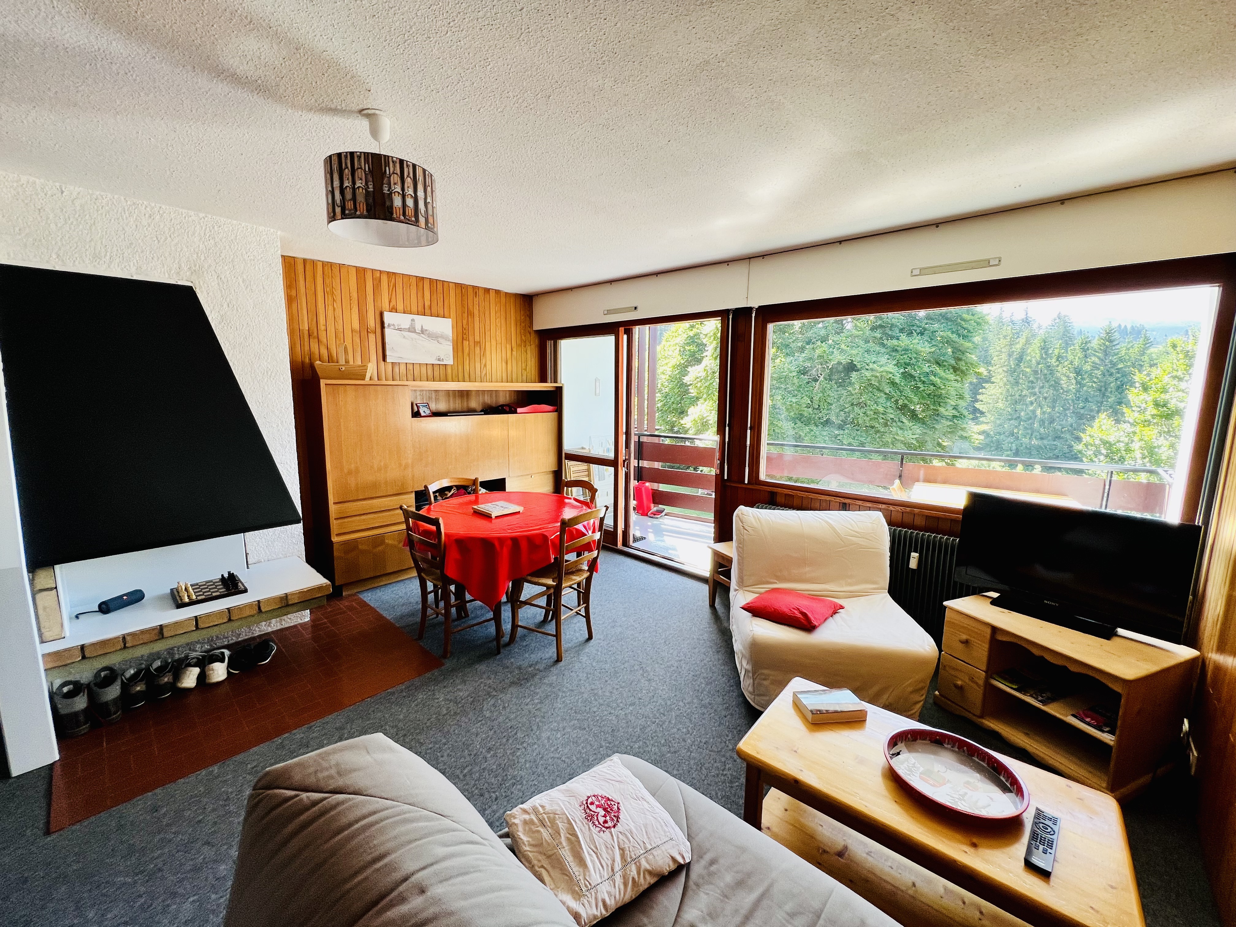 Swiss border apartment