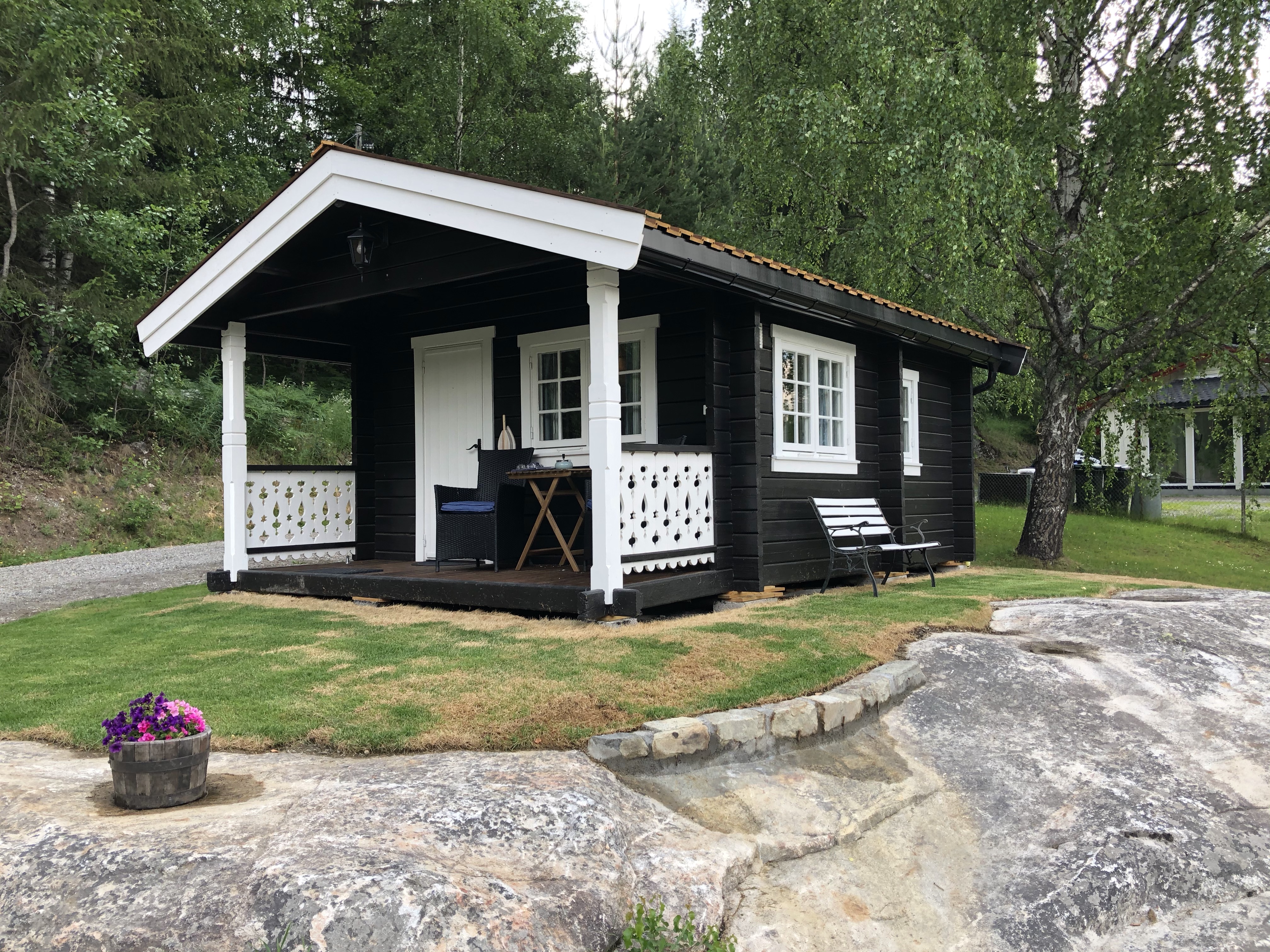 Cozy cabin in Gol