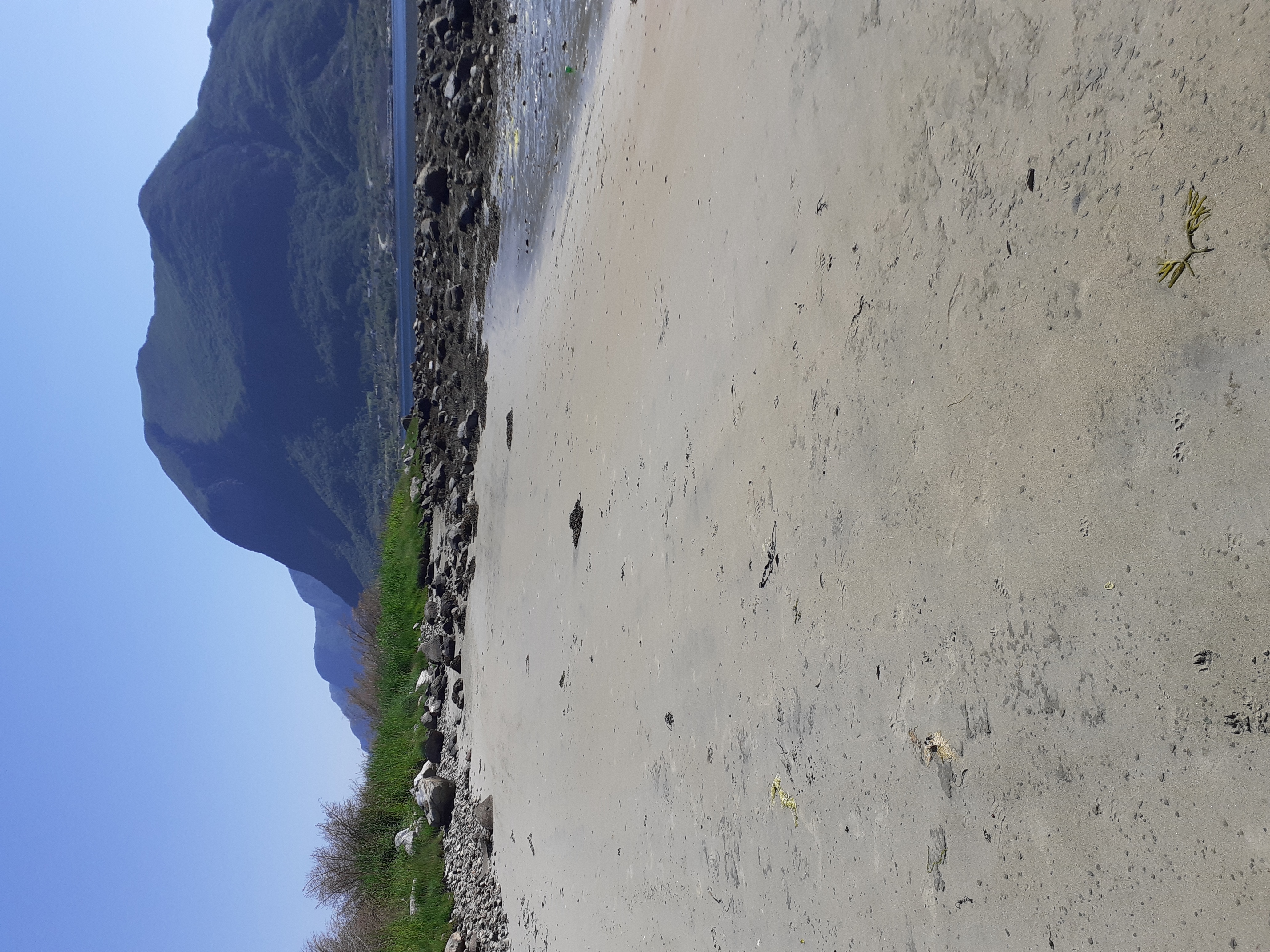 Leilighet, jacuzzi, strand. Flott natur, Midsund