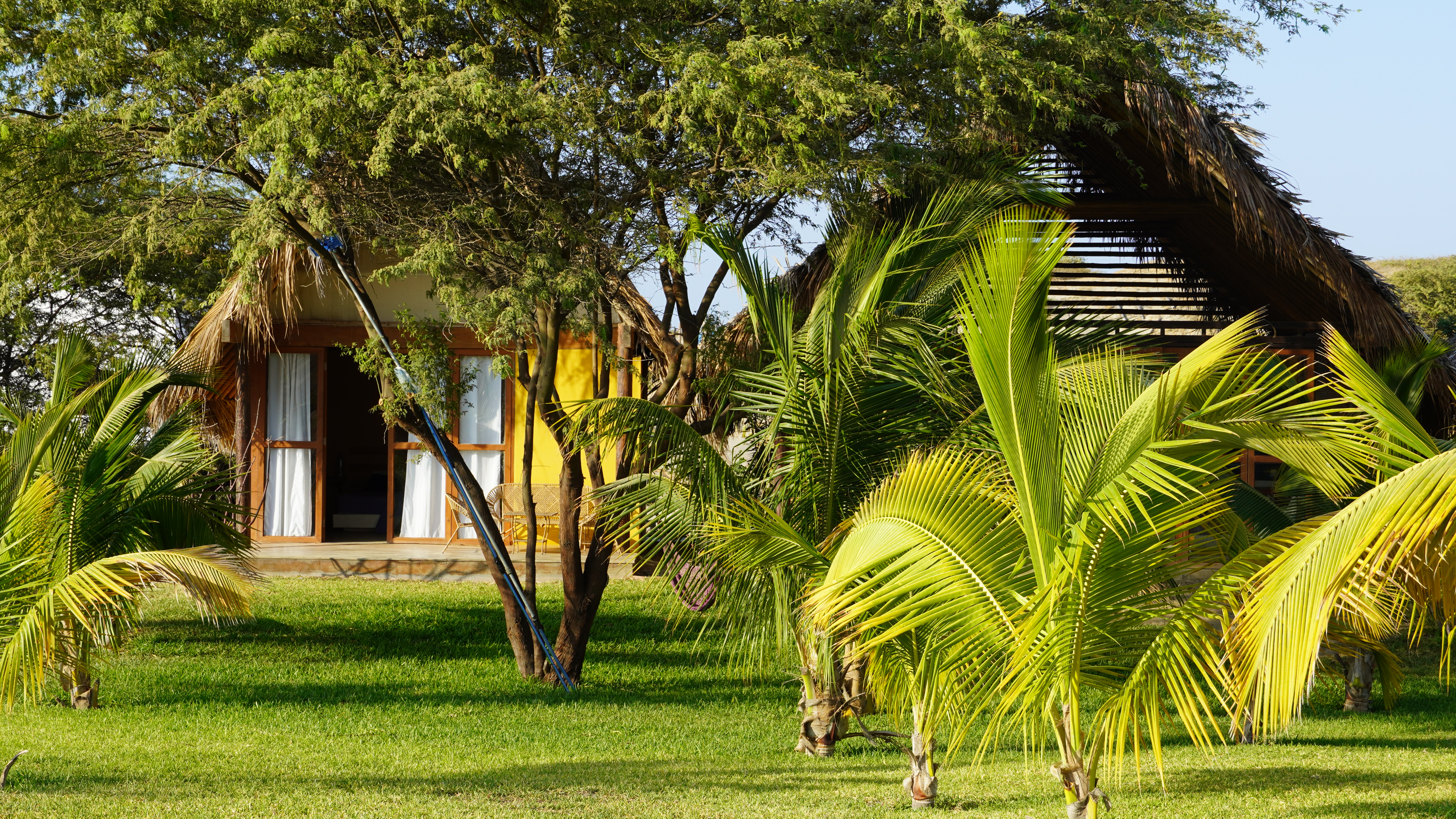 Entire Bungalow/ ONE