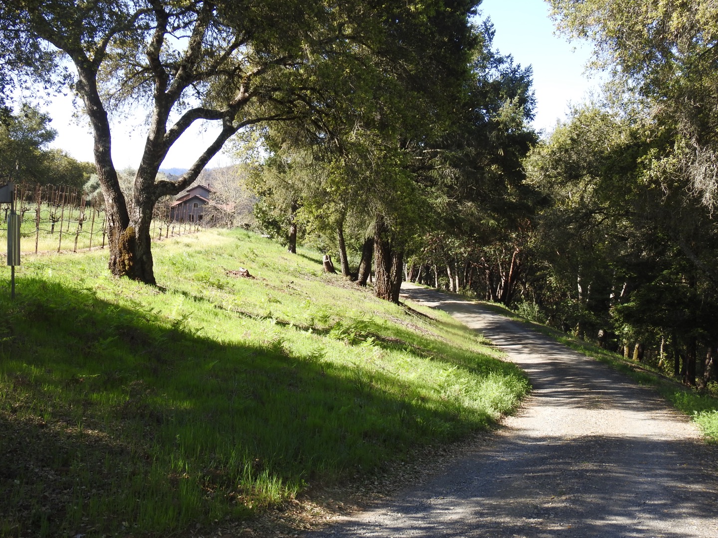 Dog Friendly Healdsburg / Dry Creek Valley Cottage Guesthouses for