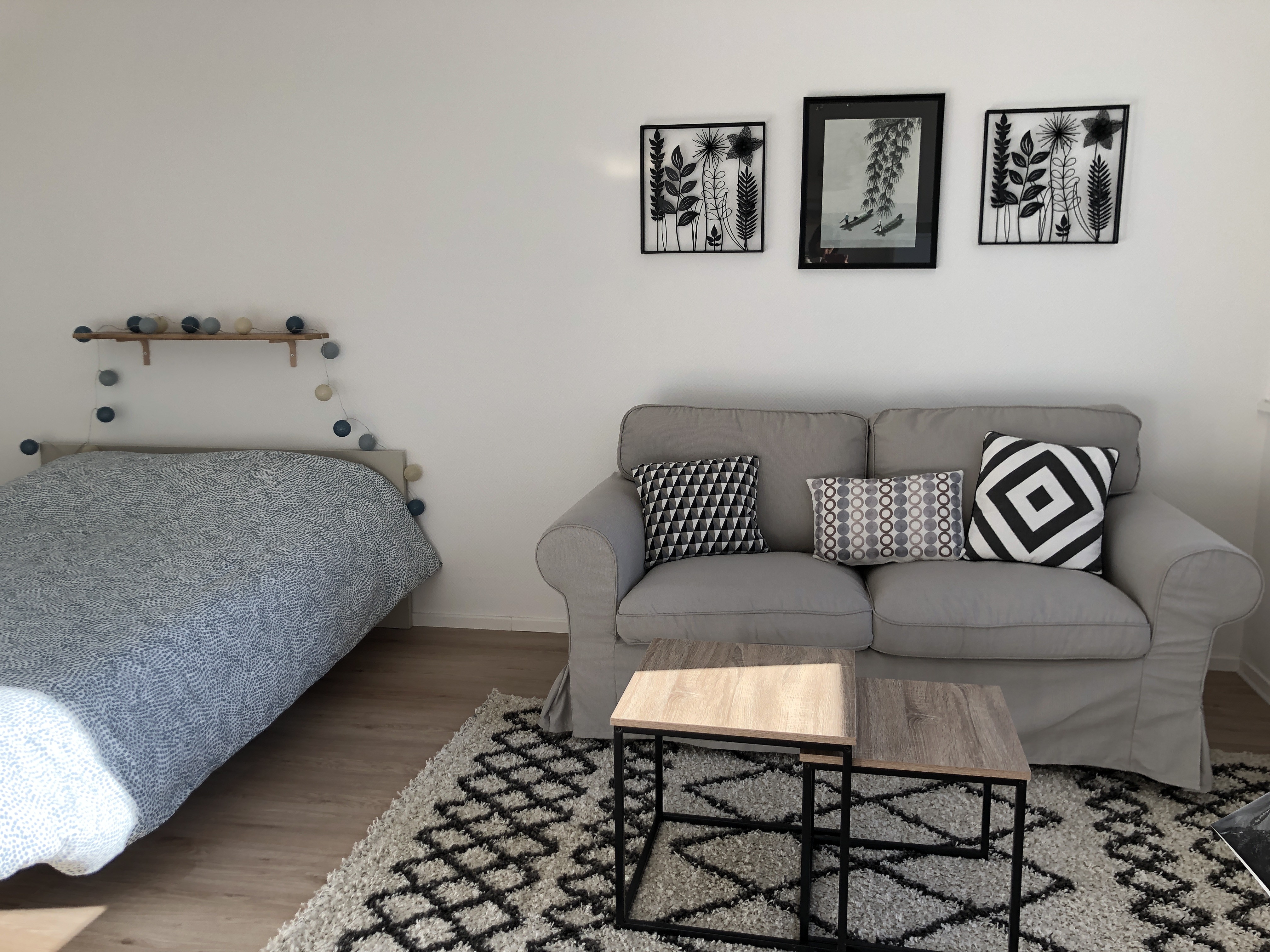 Beautiful Renovated Studio near Geneva