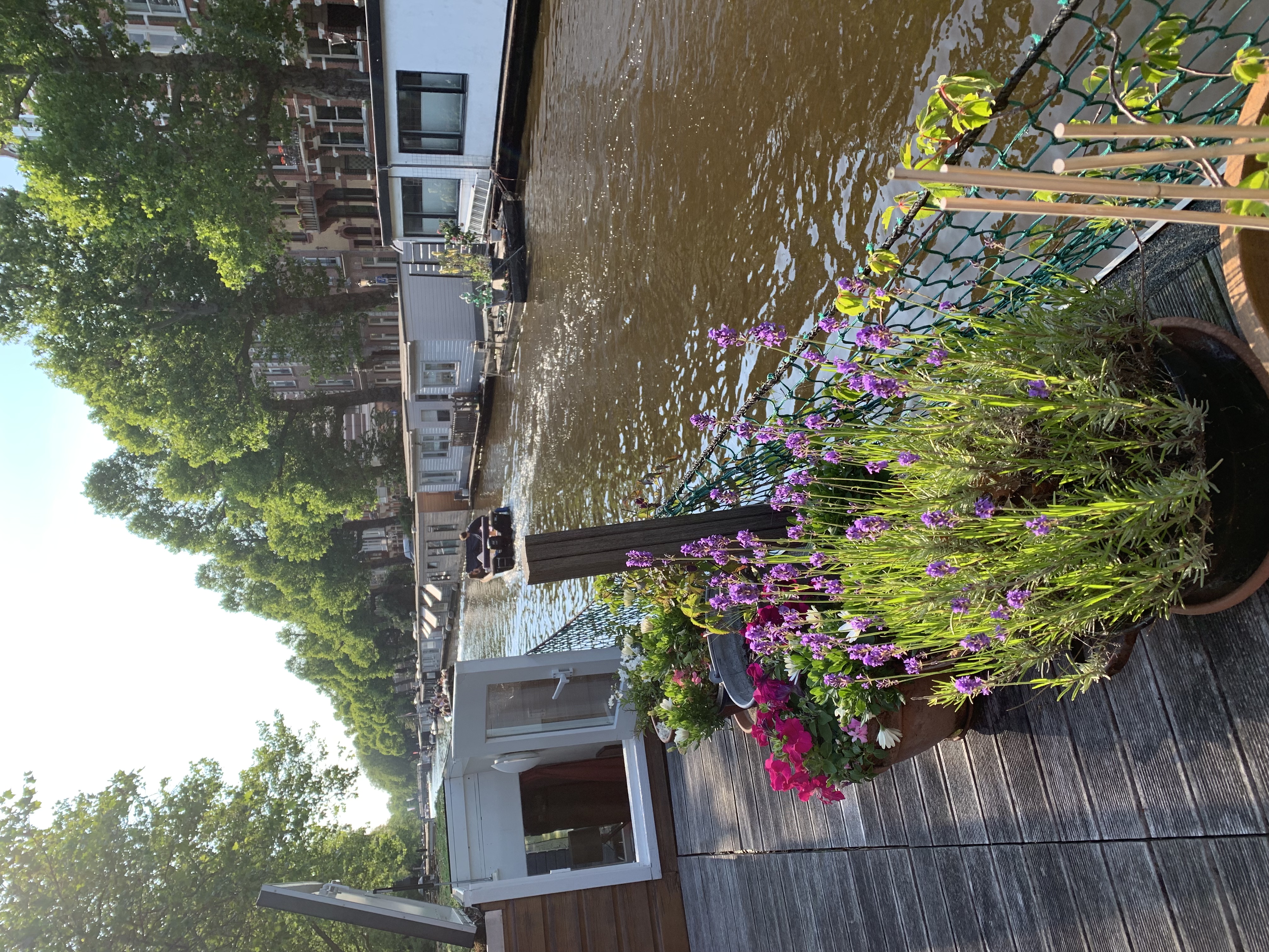 Gorgeous canal boat with rooftop terrace in centre — Amsterdam stay