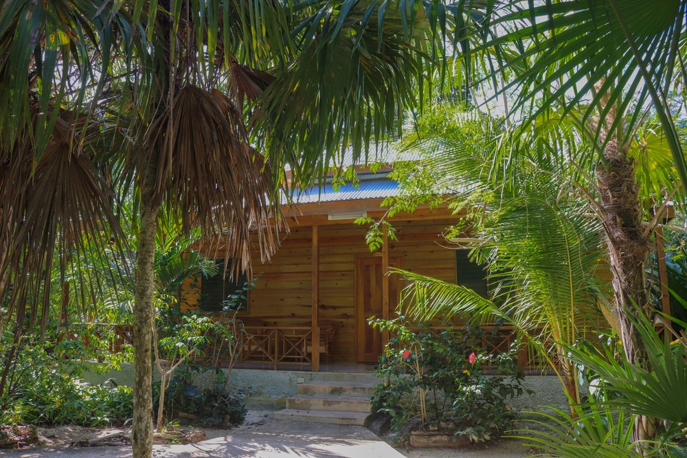Beautifull two bedroom cabin with spacy patio