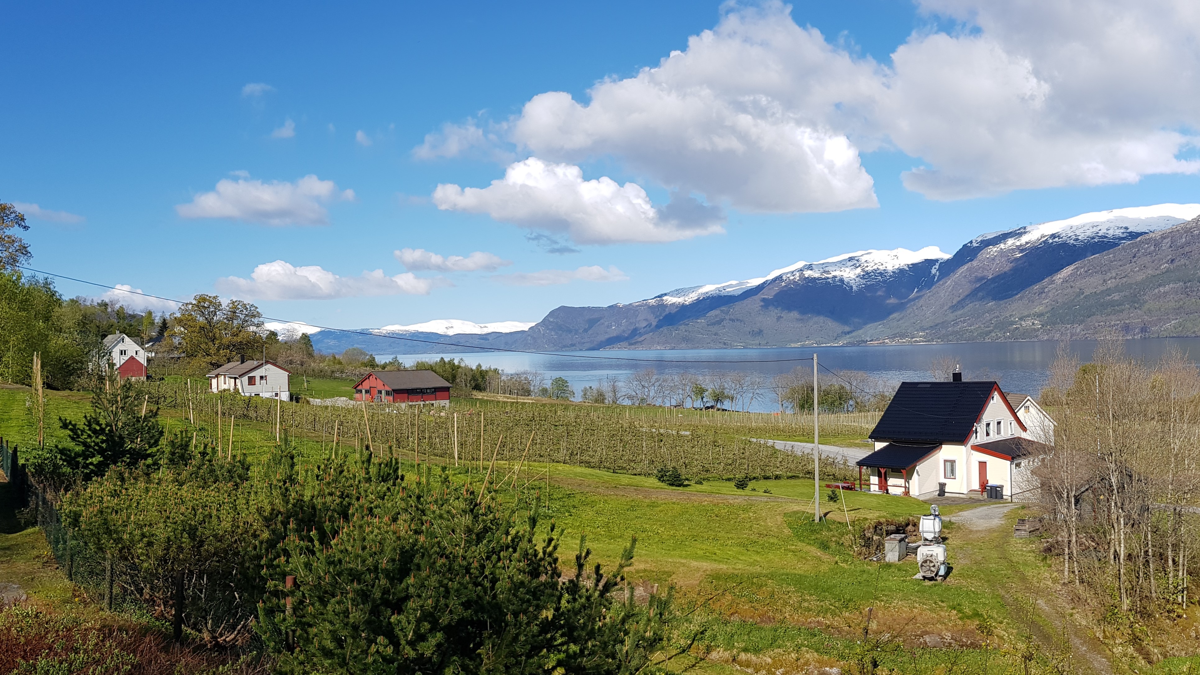 Great cabin, panoramic views of the Hardangerfjord