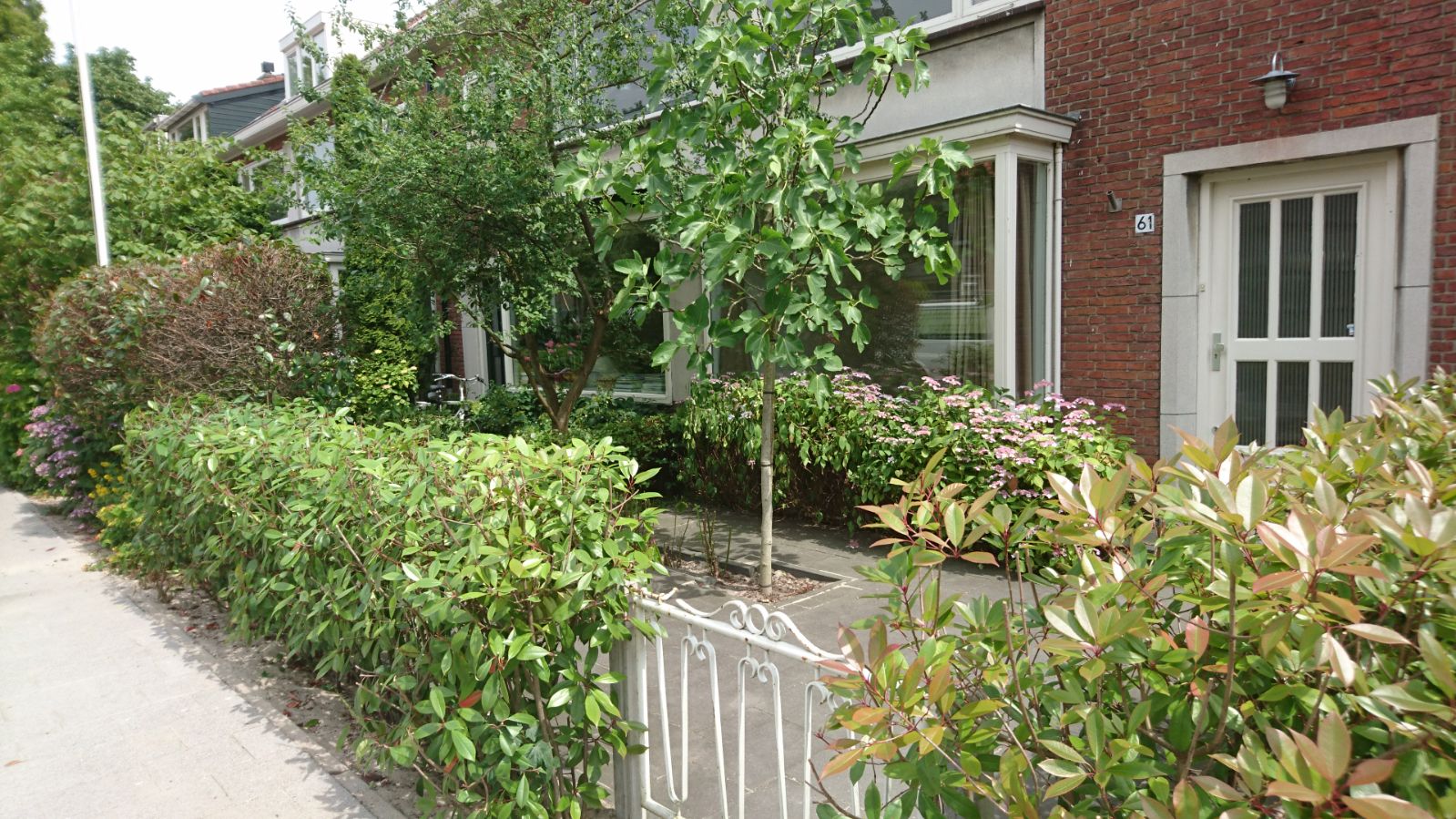 Family home Rotterdam, nearby city center & nature — Rotterdam stay