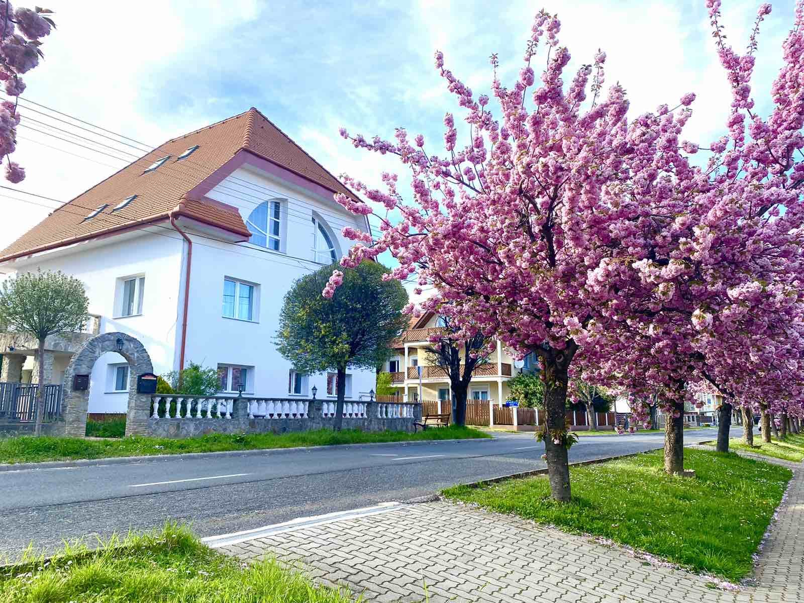 In near Lake Hévíz and Lake Balaton-Amadeus Villa