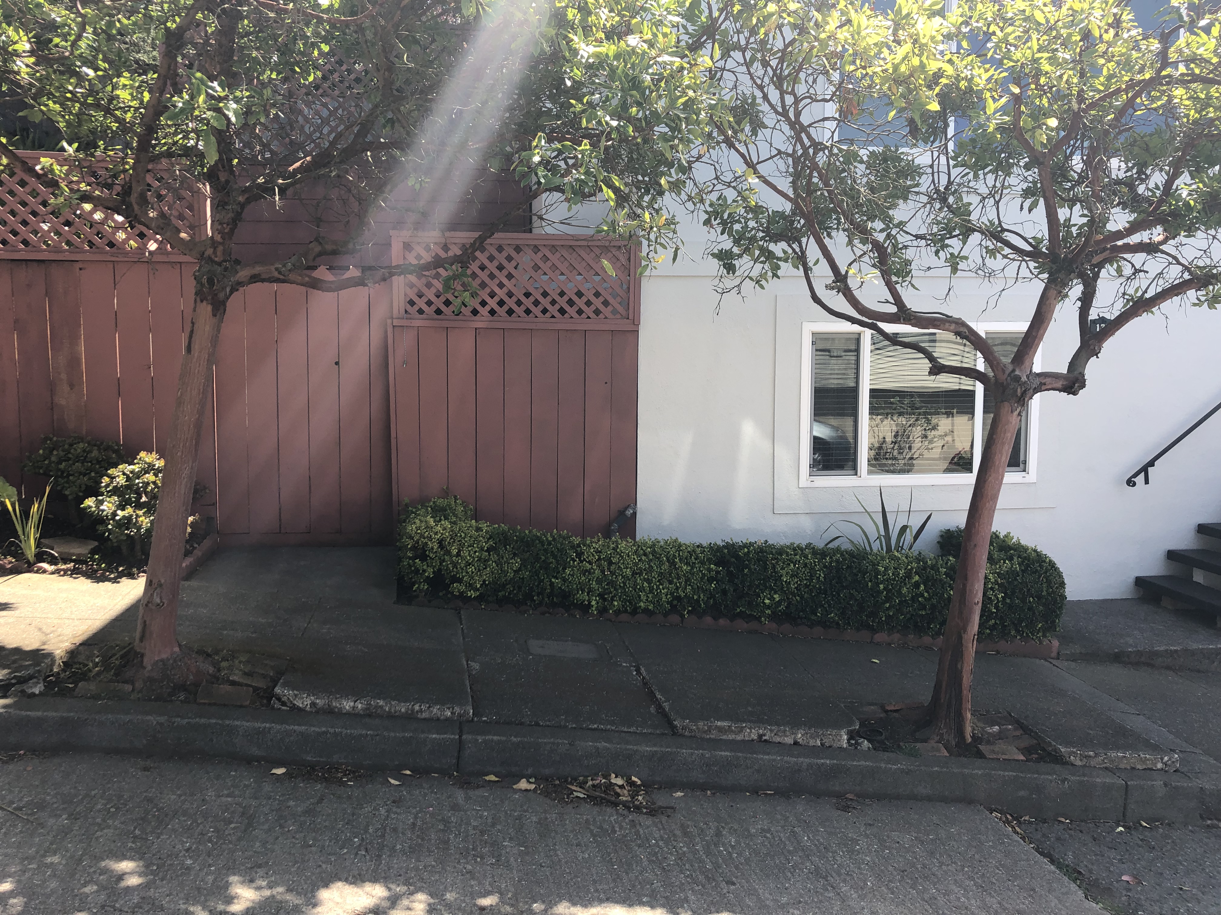 Charming in law unit in Inner Sunset at UCSF