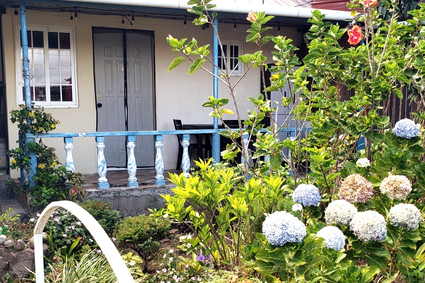 Lovely Flower Garden Apartment