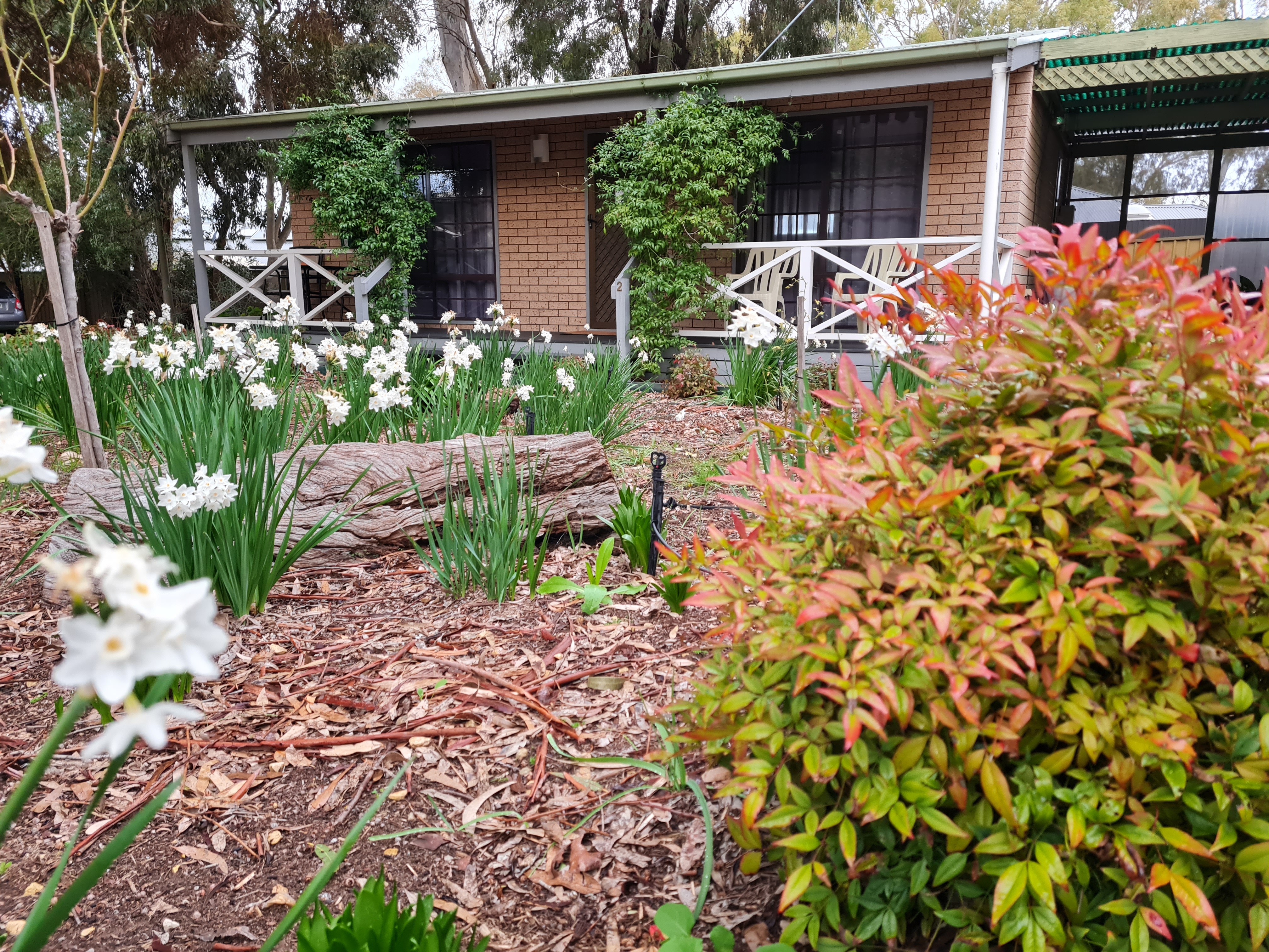 2 Bedroom Family Cottage - Sleeps up to 6 in Lyndoch, Barossa Valley