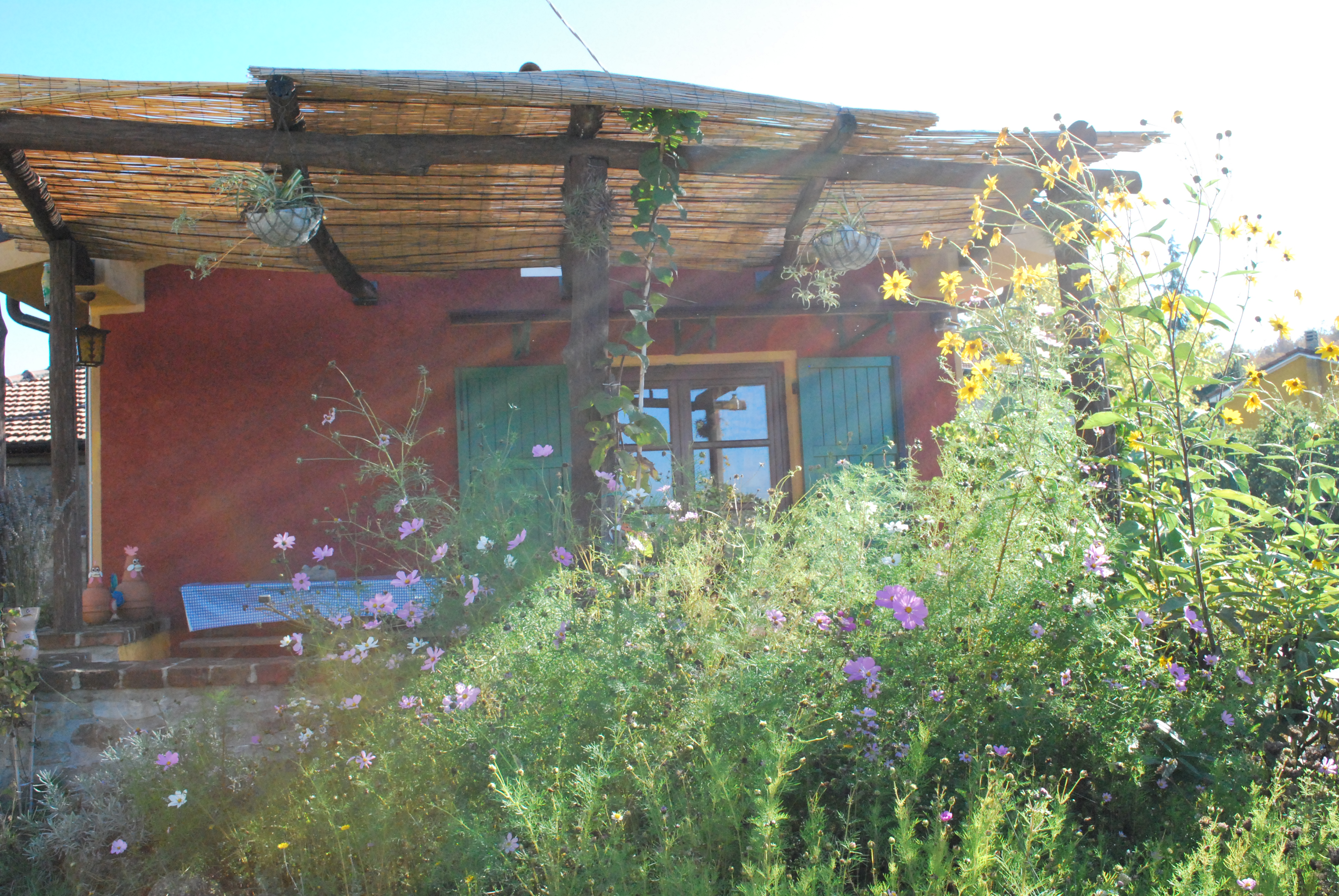 Ca' Rosina, Rustic in the Wood