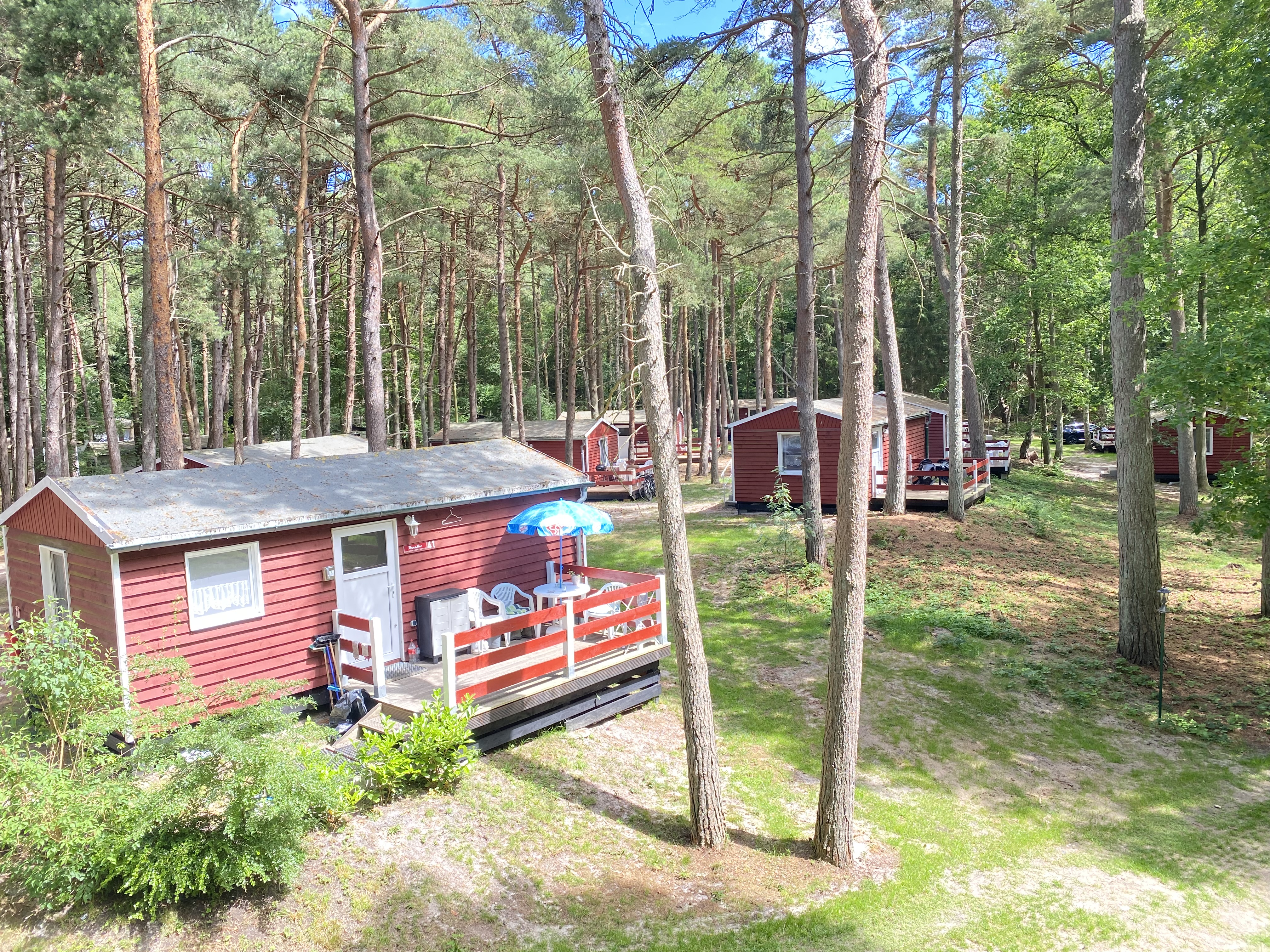 Bungalow Kranich 49