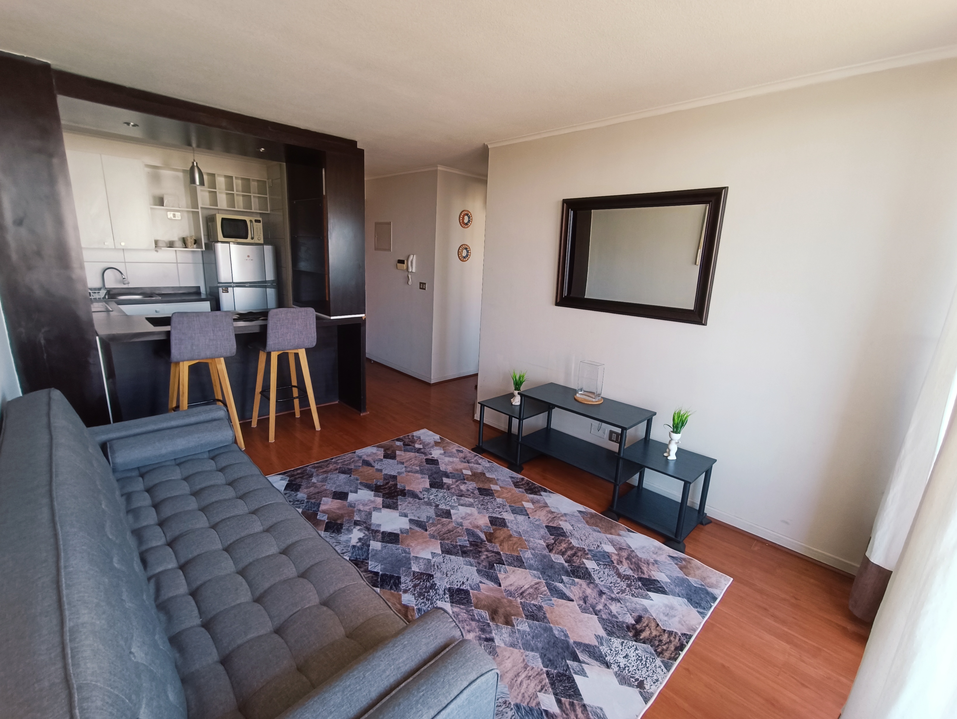 Beautiful full apartment in Macul.