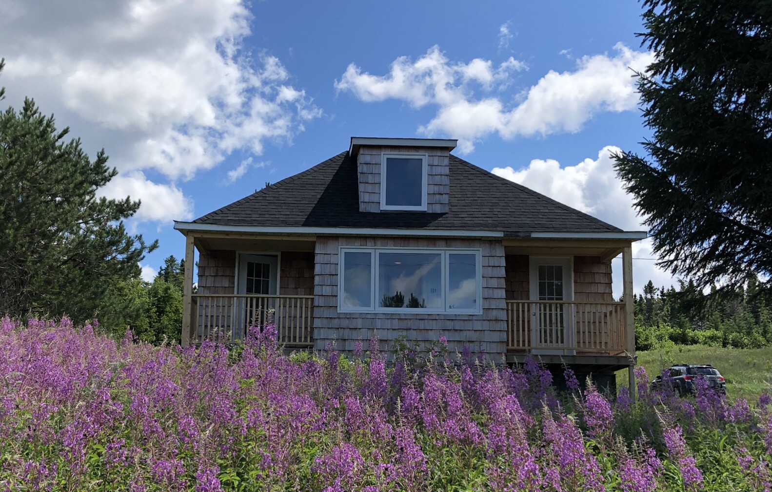 3bedroom private escape overlooking Bonavista Bay Houses for Rent in