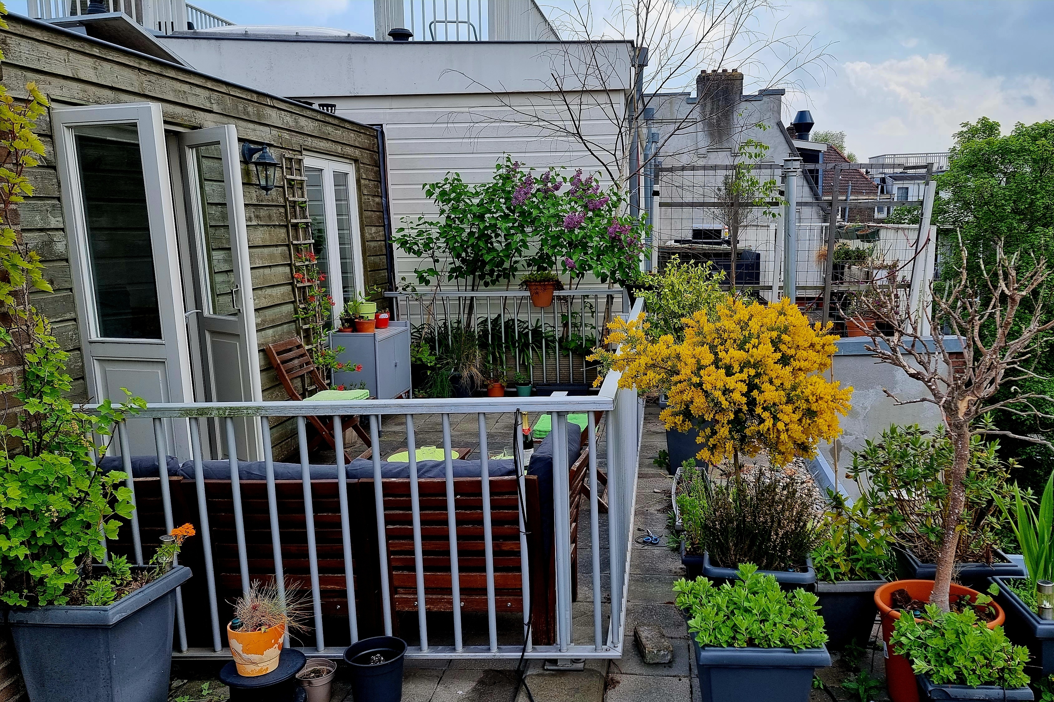 Huiselijk 2 kamer apartement met privé dakterras. — Amsterdam stay