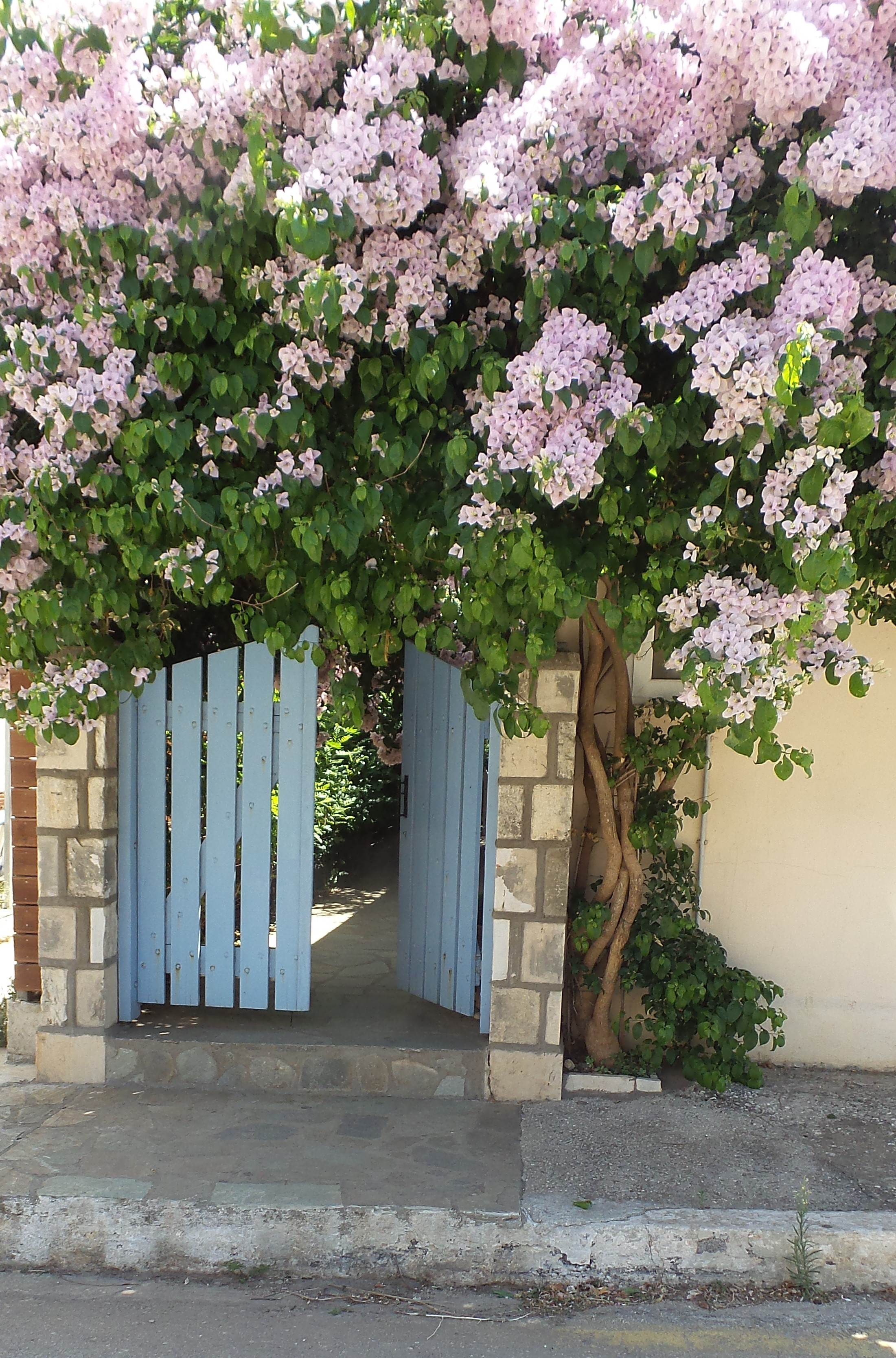 Beautiful summer house in Agia Efimia