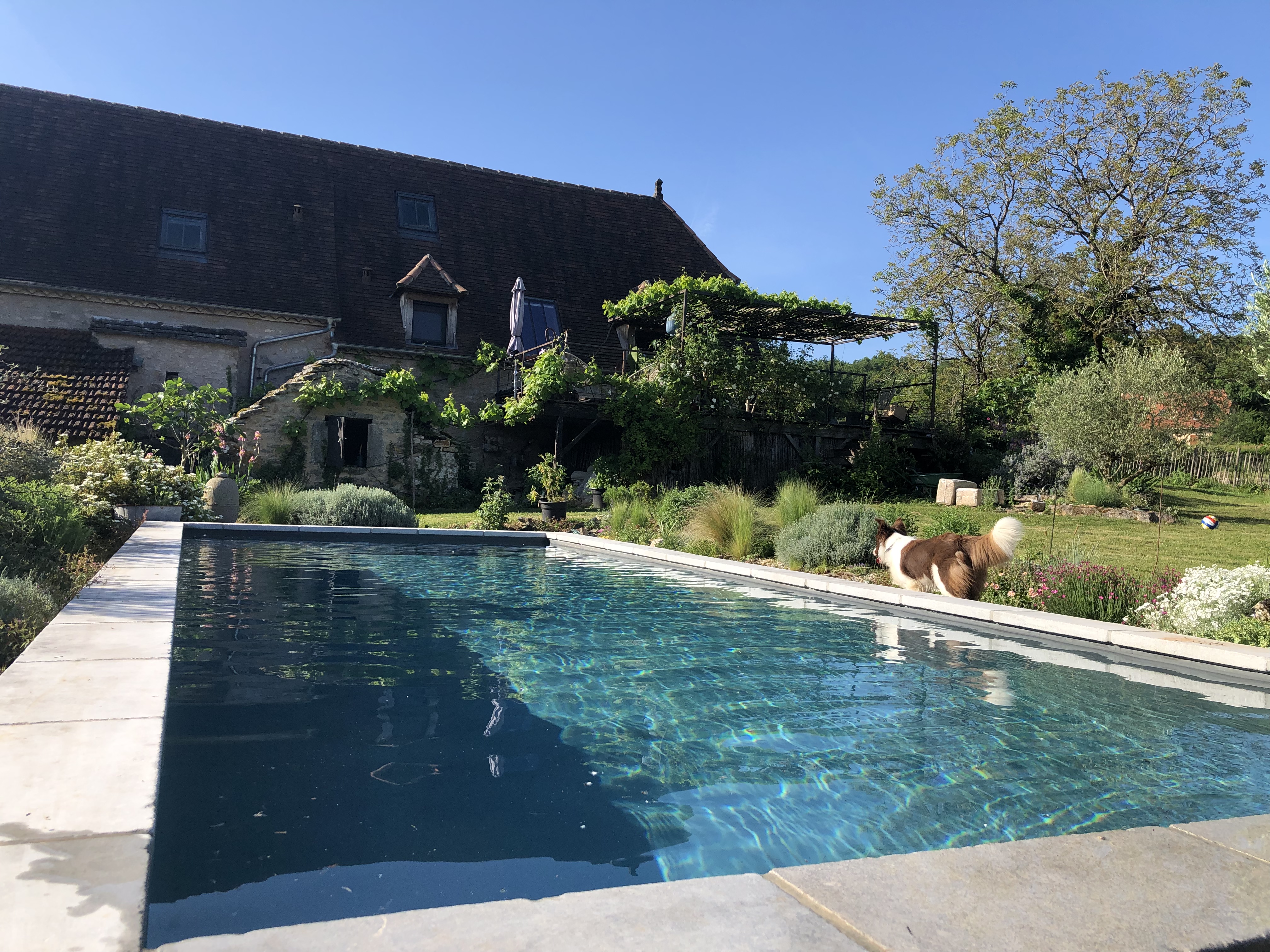 Charming Caussenarde house with pool