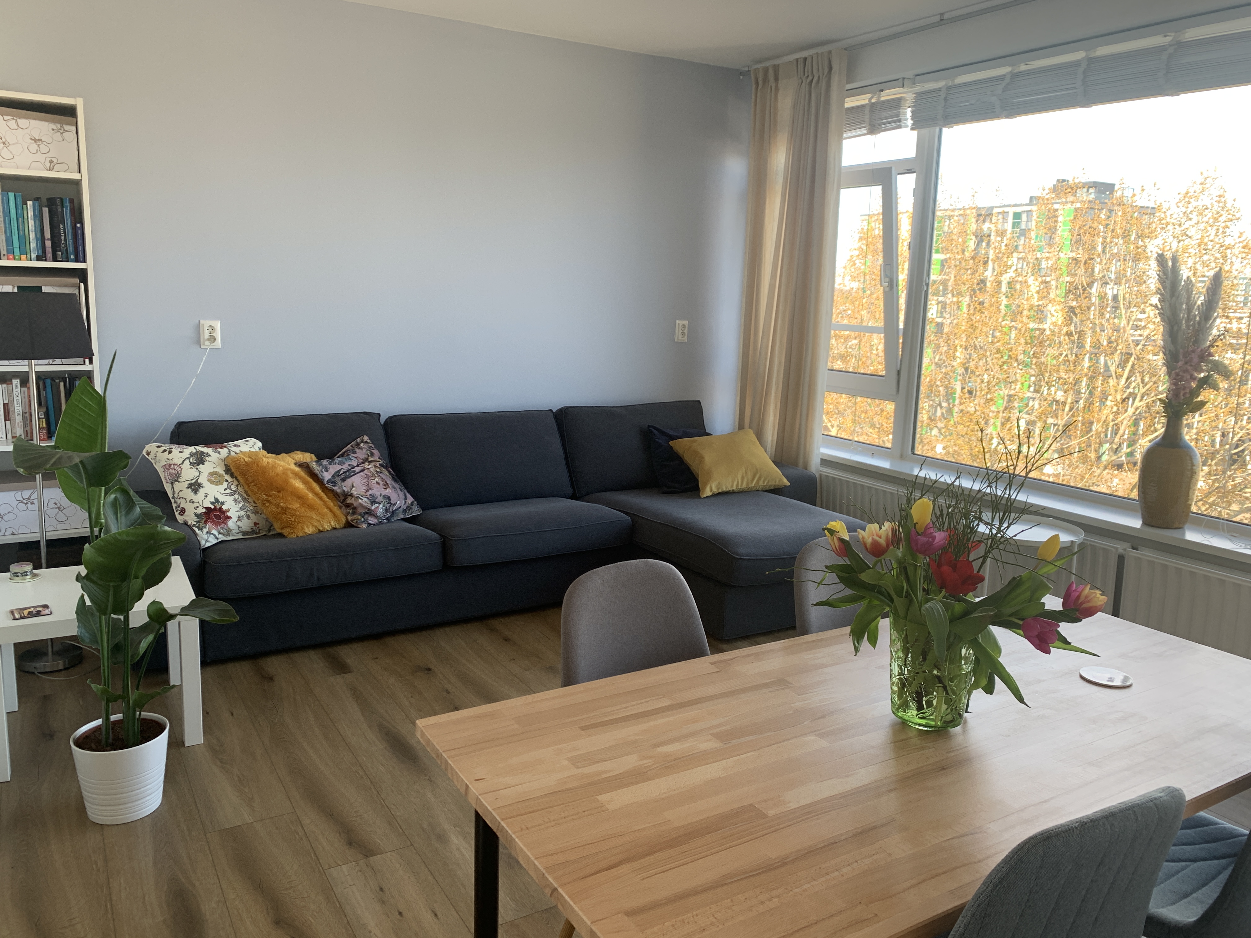 Cozy bright 2 bedroom apartment — Amsterdam stay