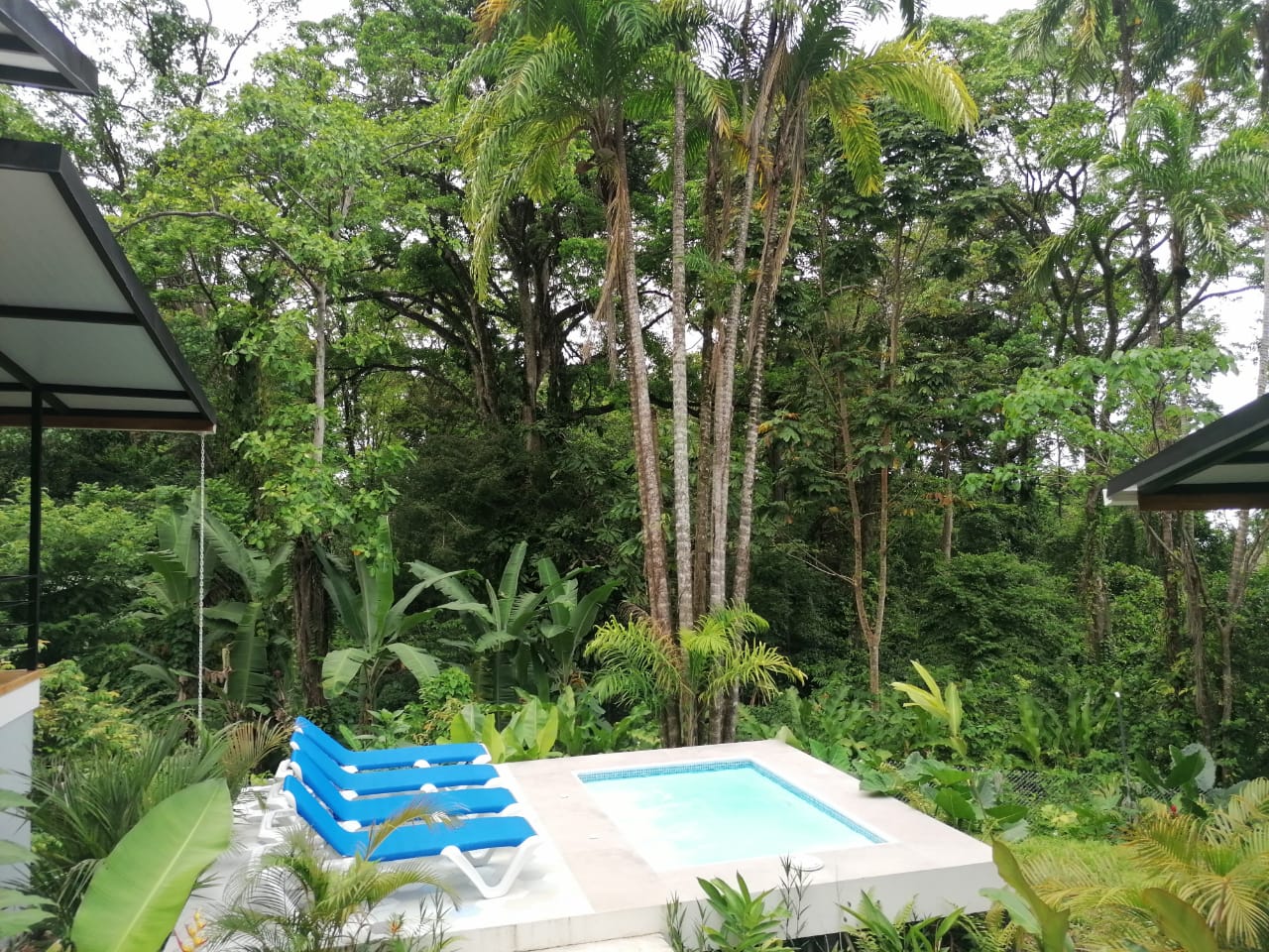 Quinta Guarumo #02