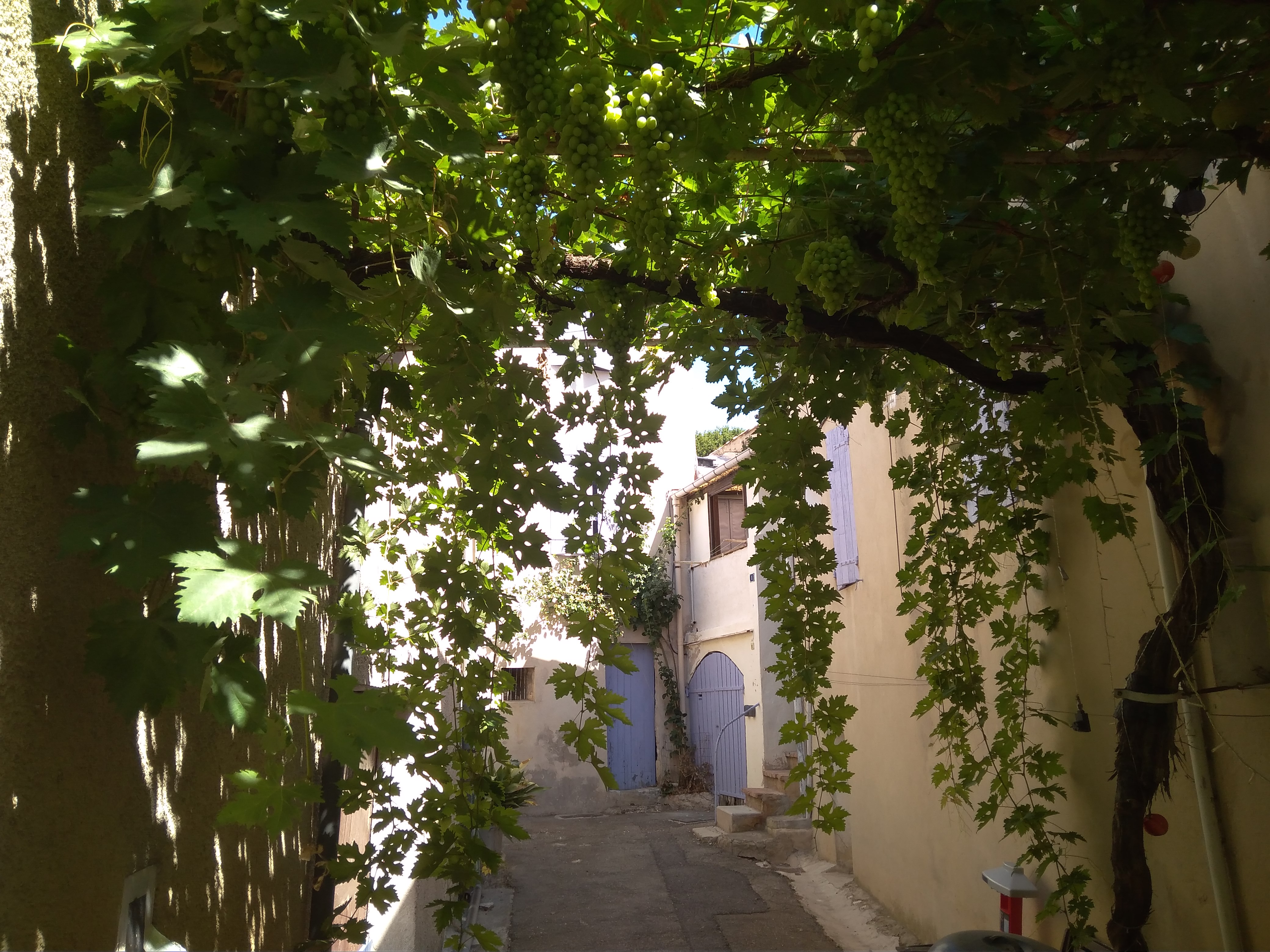 Tranquility of the Luberon in this duplex in the Bastide