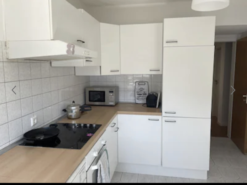 FlyHigh Apartment Stuttgart_VS2 Condominiums for Rent in Stuttgart, BadenWürttemberg, Germany