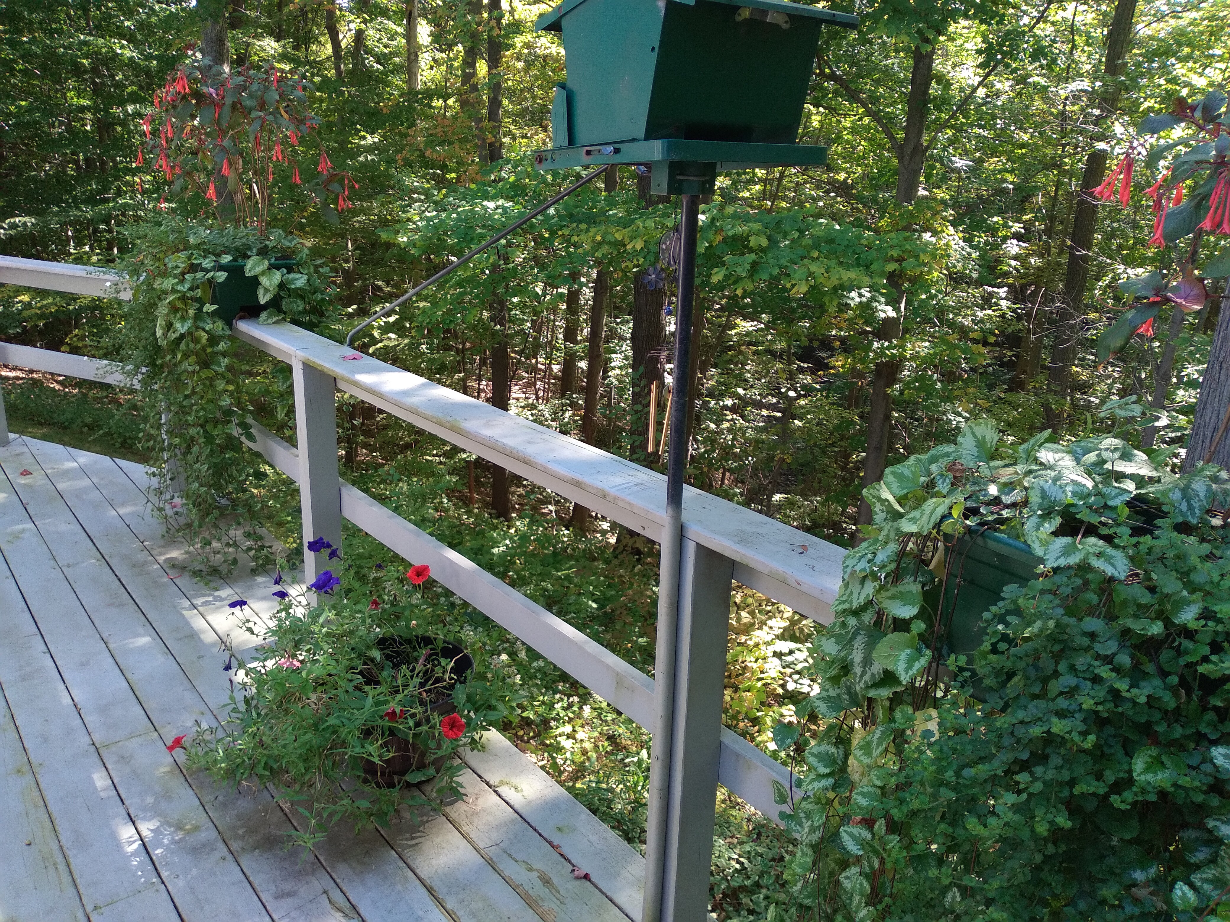 Sparrow Creek Airbnb