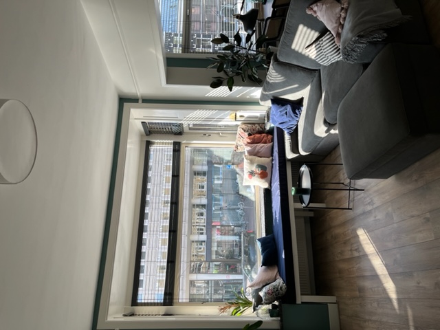 Apartment next to the Vondelpark — Amsterdam stay