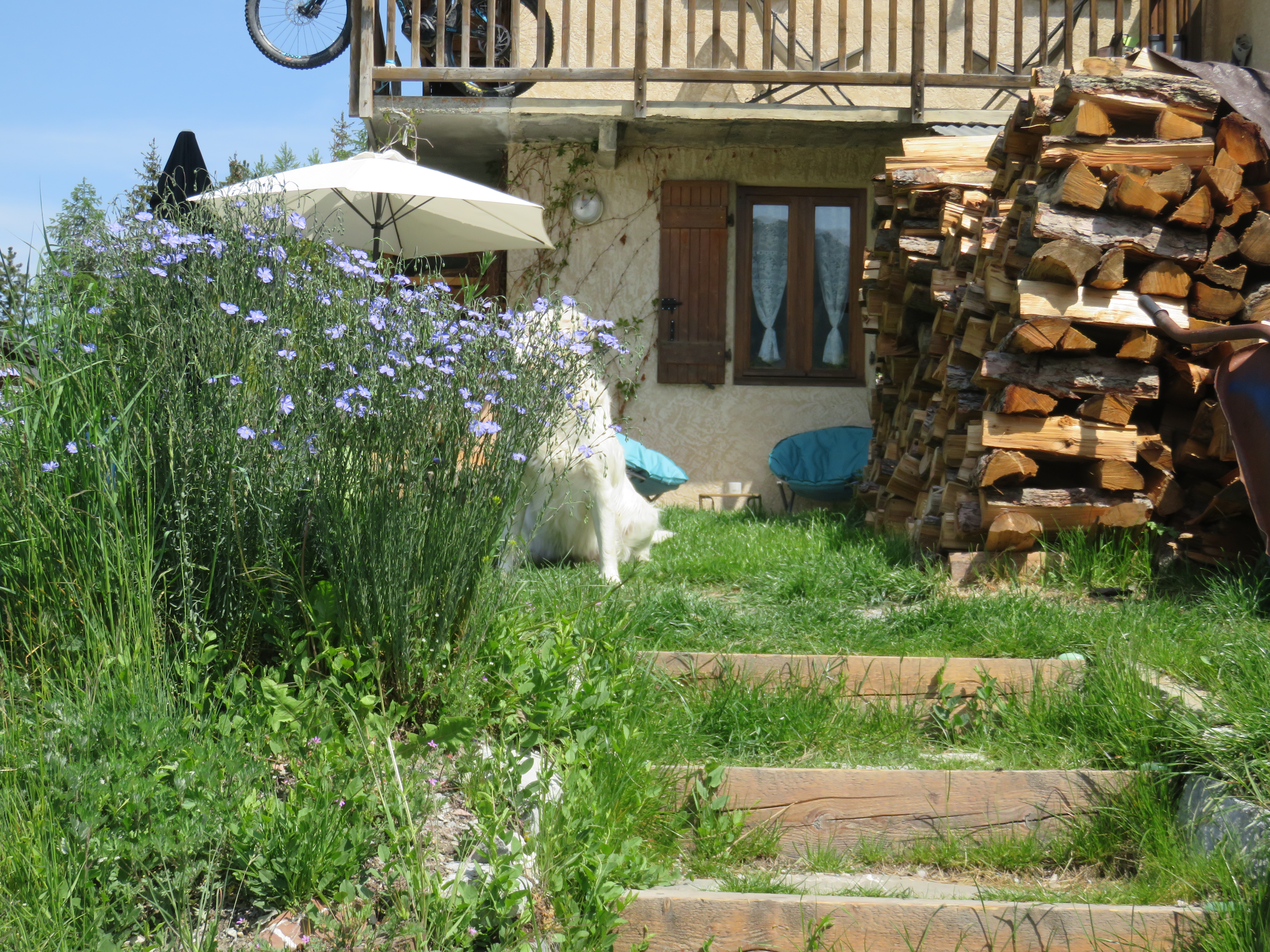Ground floor studio, with shared garden.
