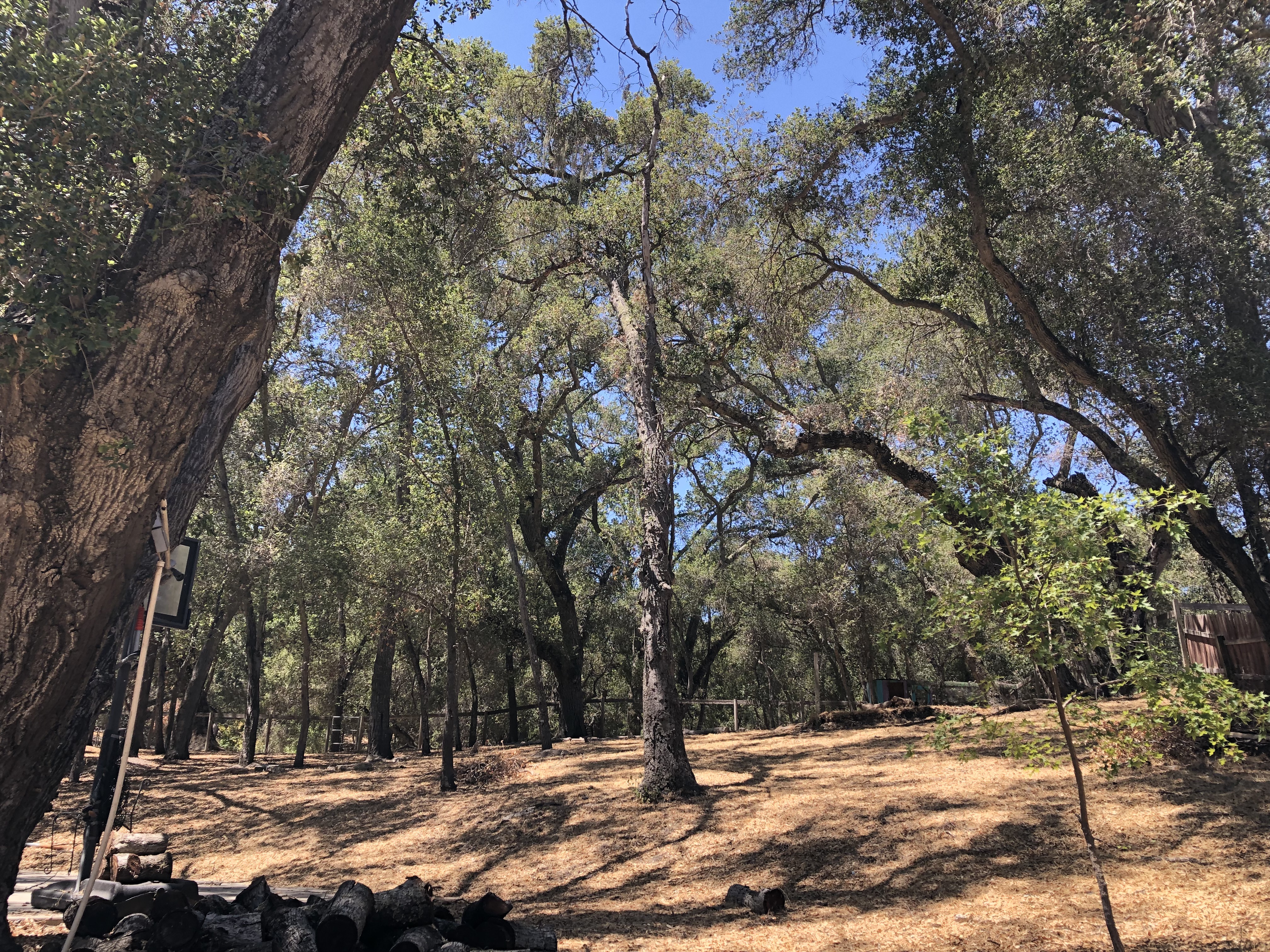 Welcome Inn: Family friendly Oasis in Wine Country