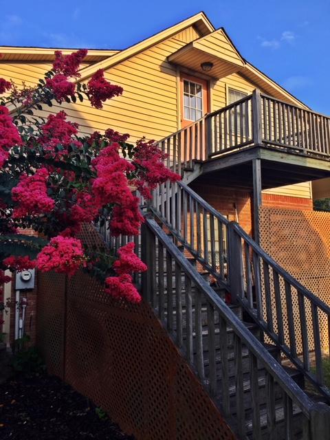 Schöne Loft-Wohnung am See - Airbnb