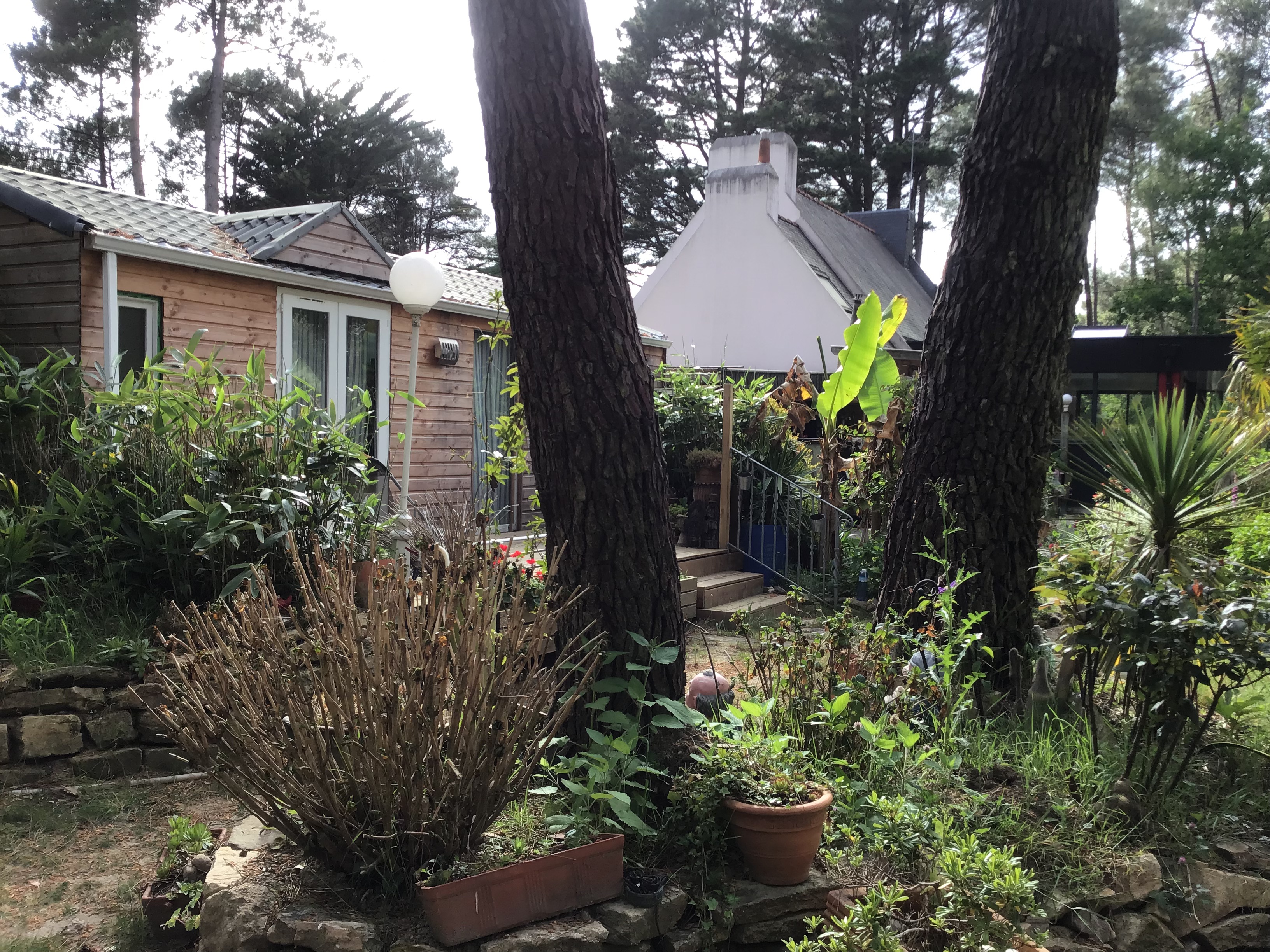 Quiet cottage, under the pine trees in Morbihan.