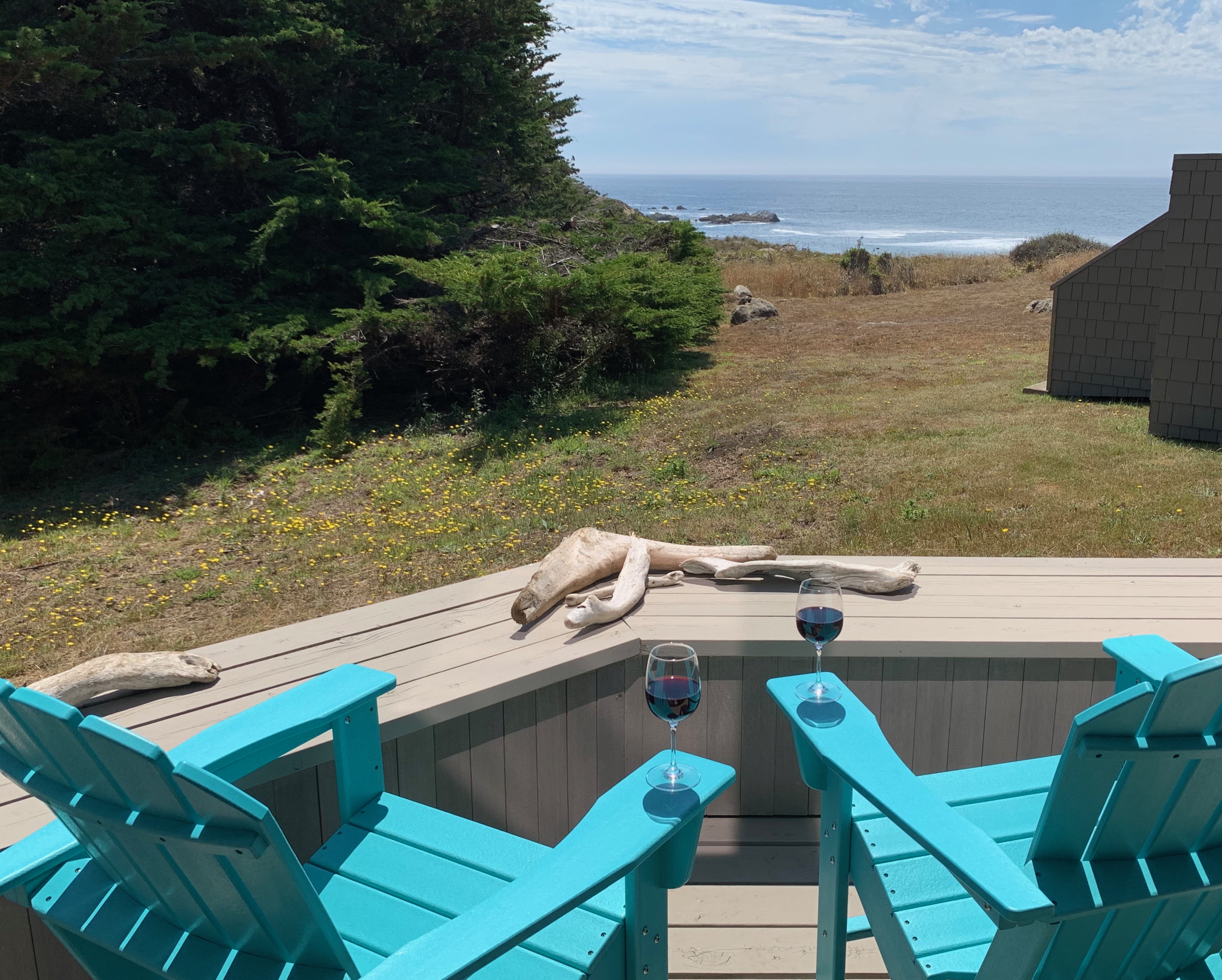 Contemporary and spacious with ocean views