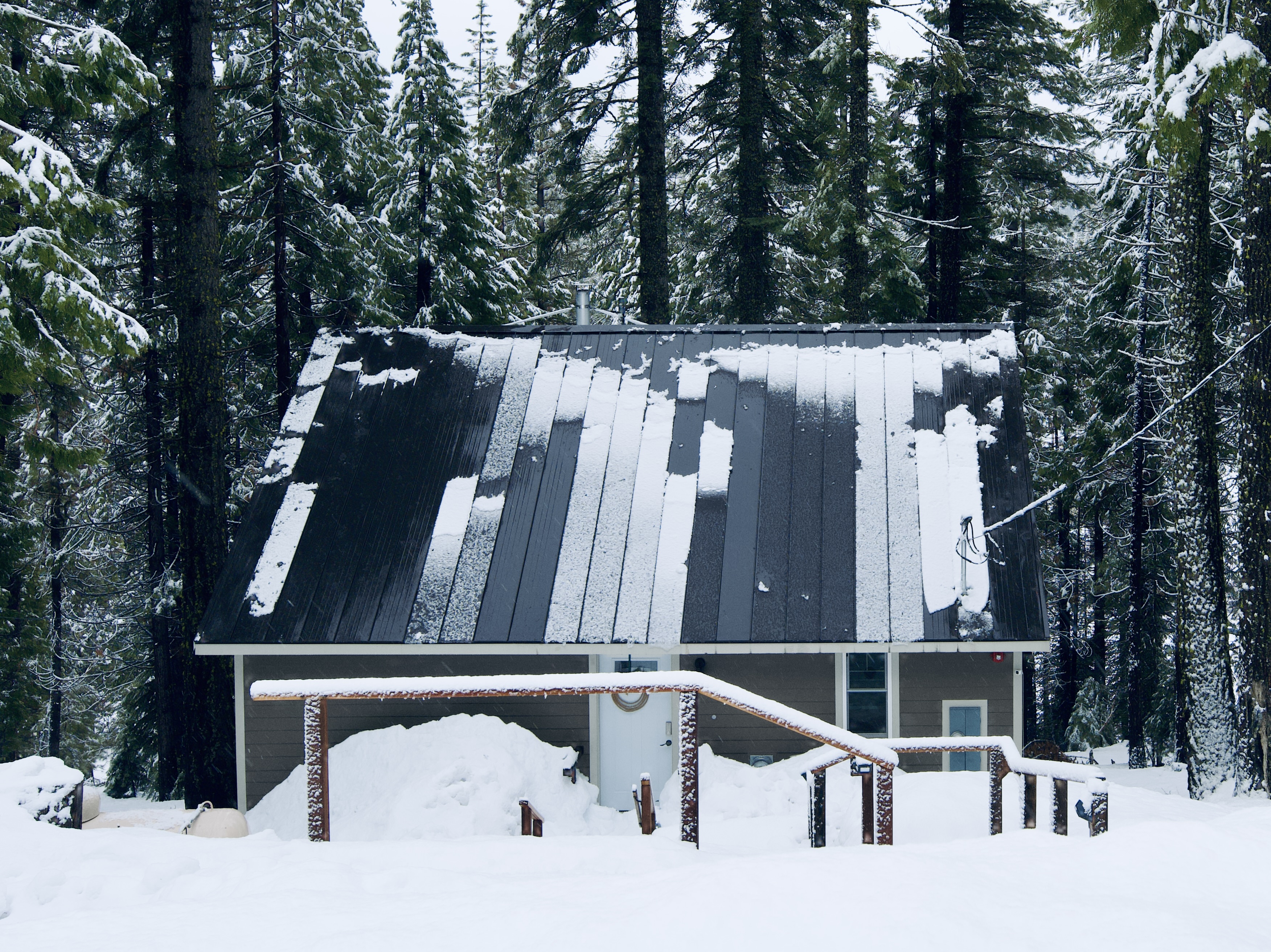 Modern-Chic Lassen Cabin. 11mi to Park. EV. Pets!