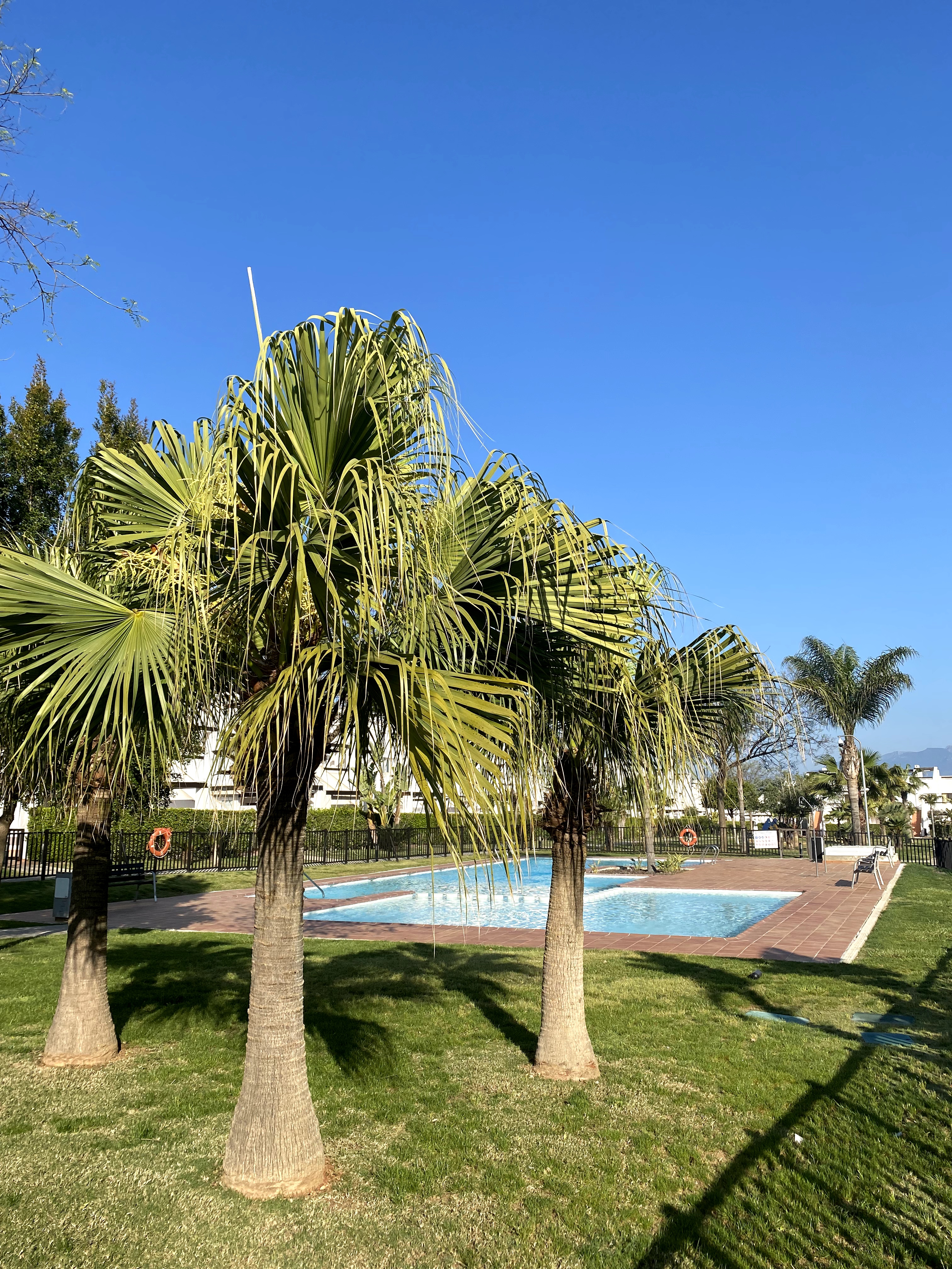 Apartamento Condado Golf Resort