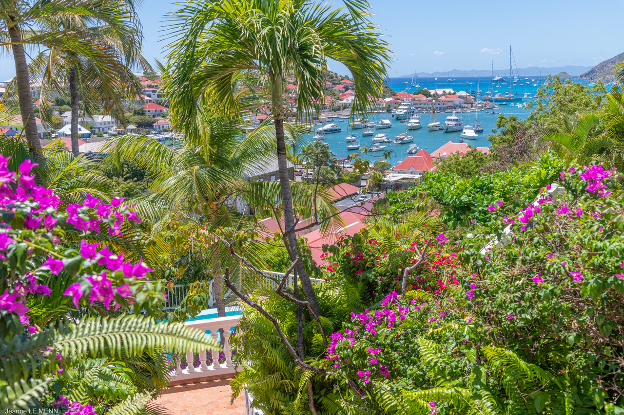Beautiful Studio Gustavia Pool View Parking