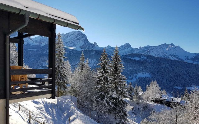 Beautiful ski-in/out chalet with splendid views