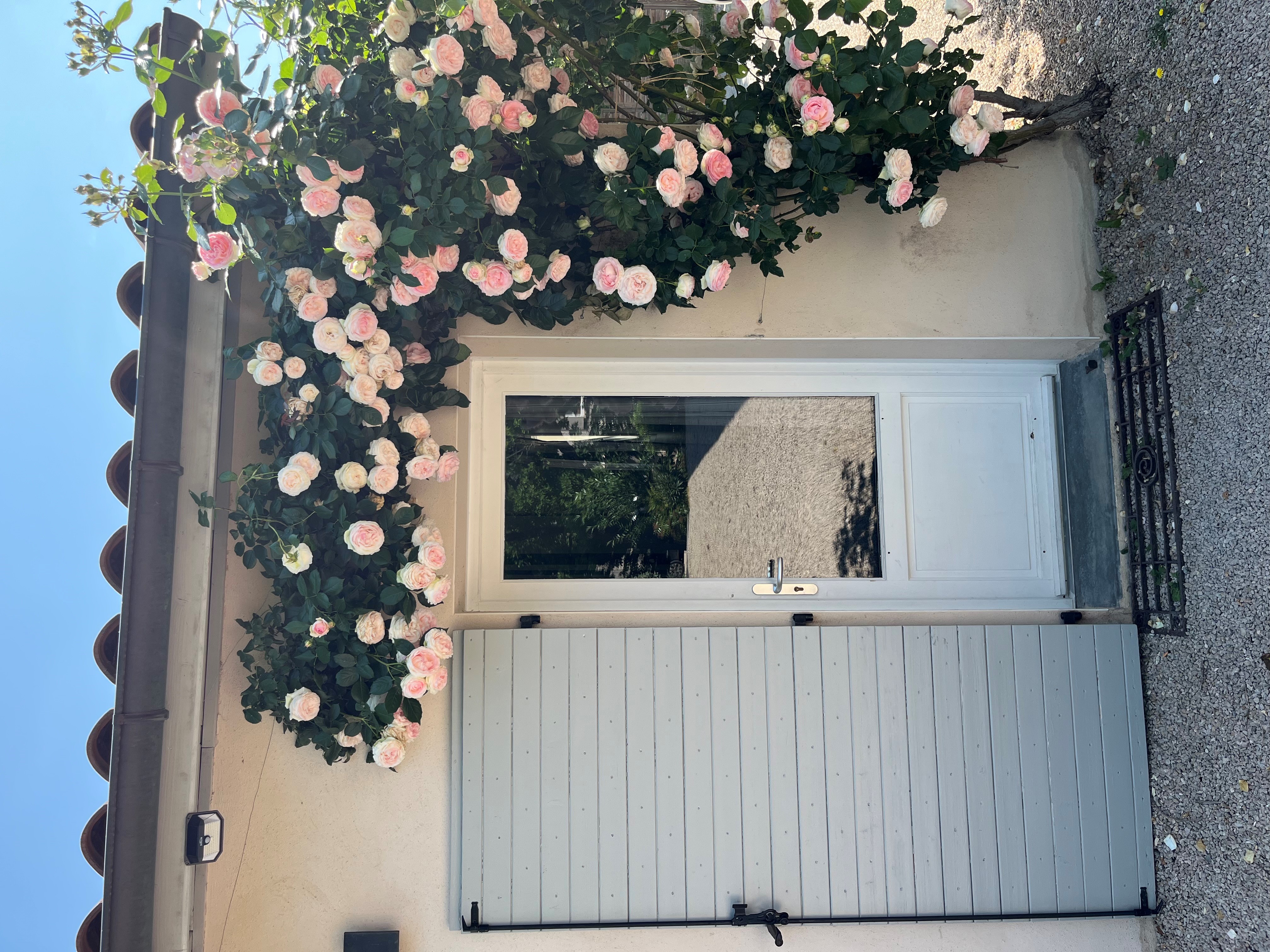 Bed and breakfast in outbuilding, green setting