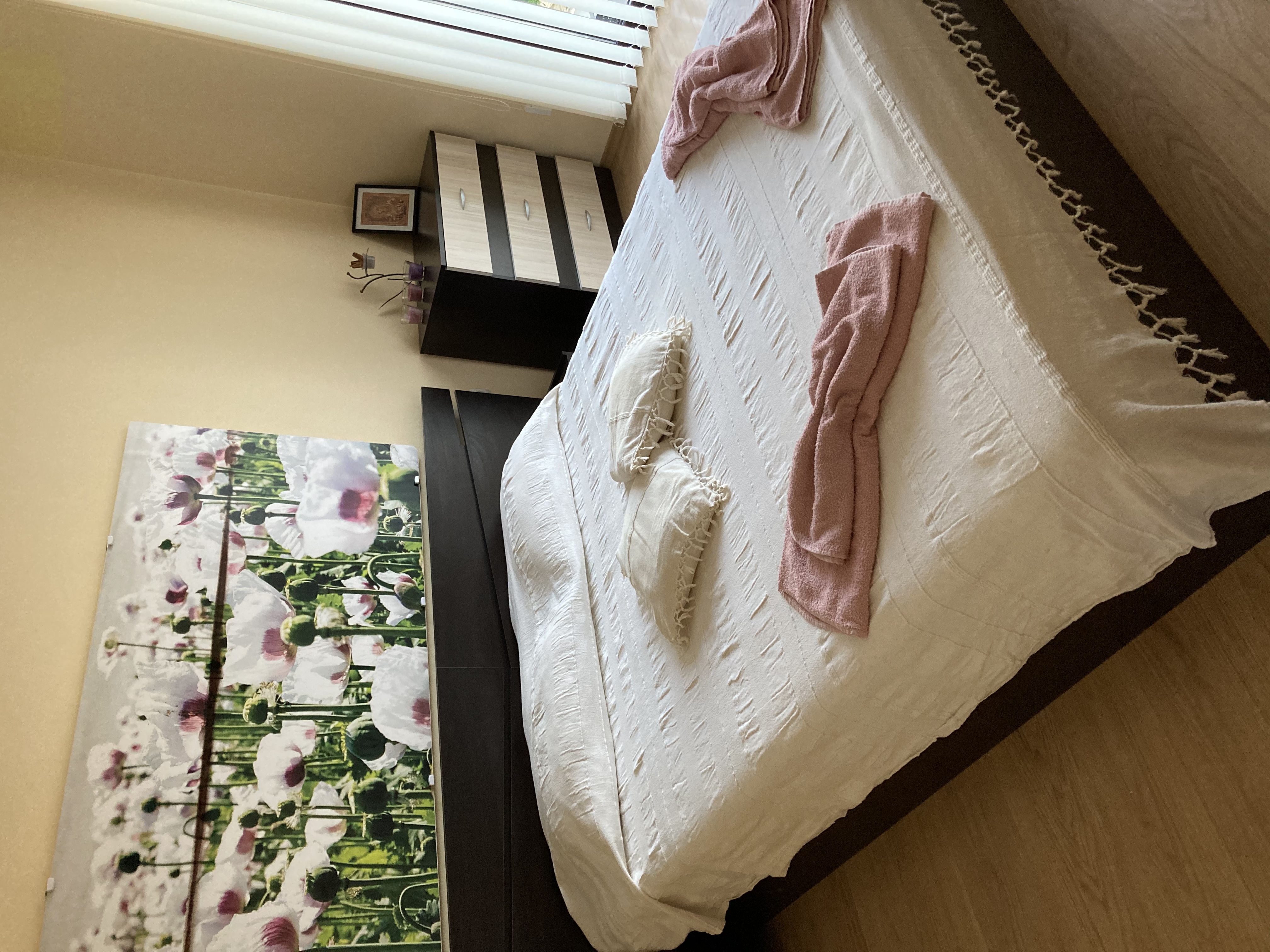 Comfortable one bedroom apartment Central -Balchik