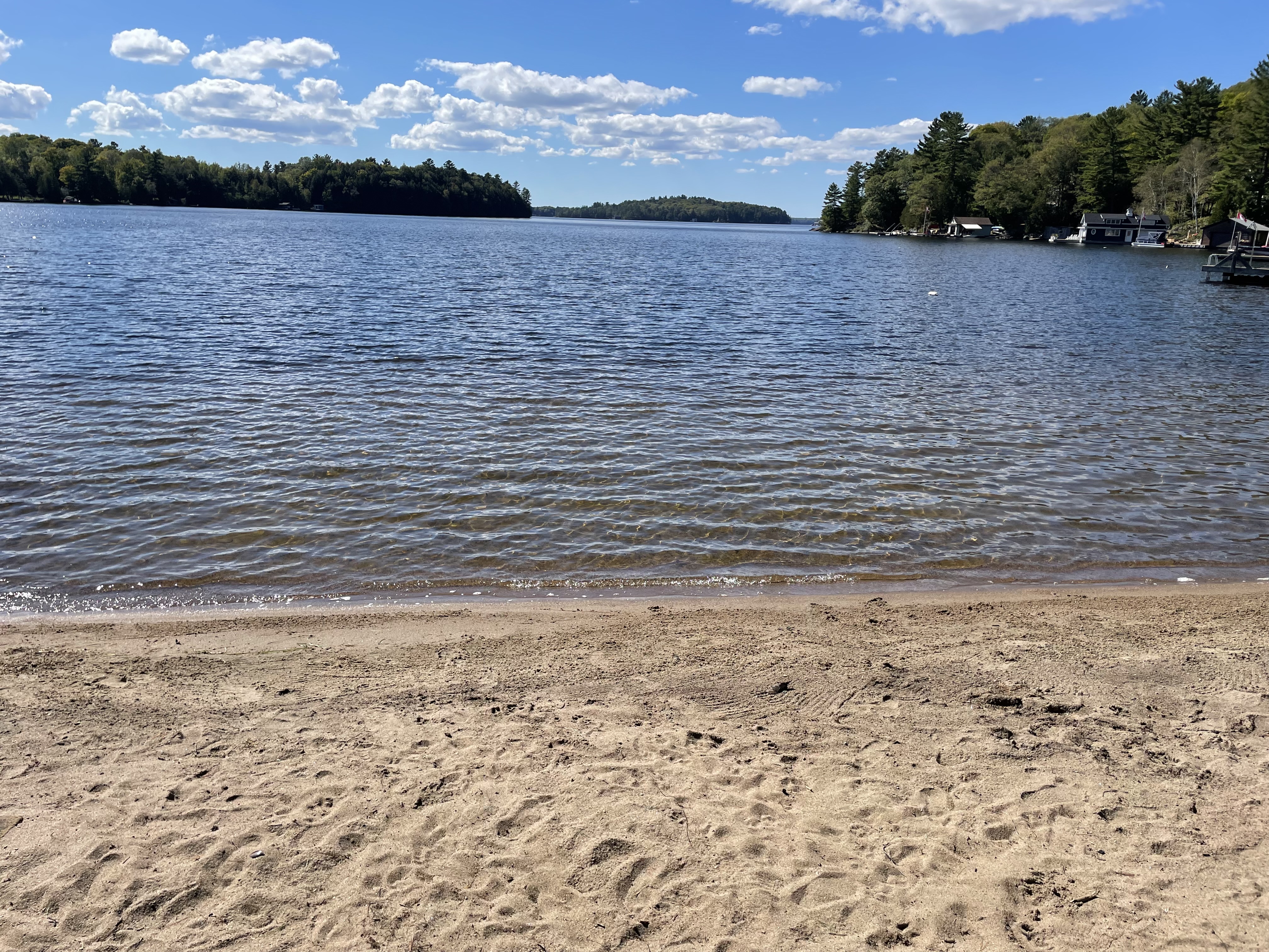 Grand Lake Muskoka Oasis Rare! Private Sandy Beach