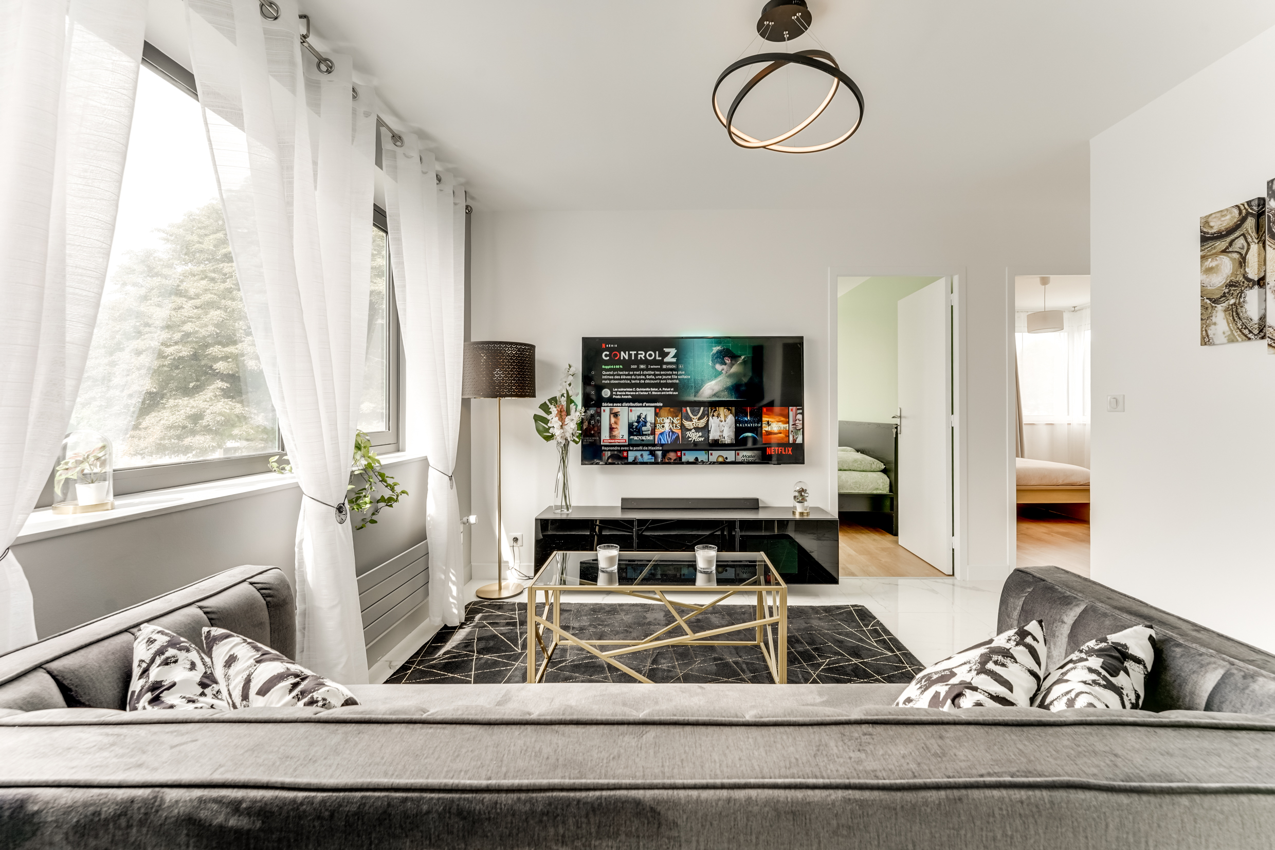 Luxury apartment in Melun