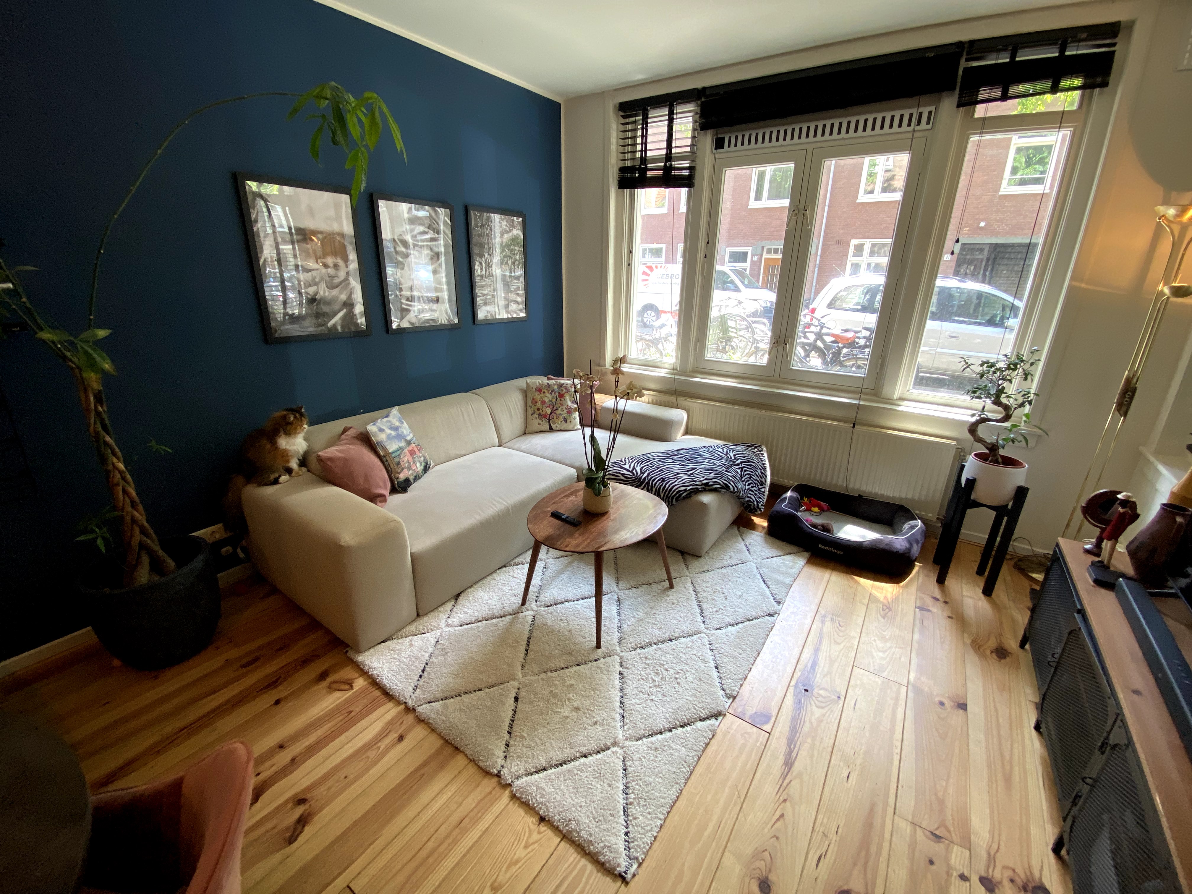 Lovely ground appartment in amsterdam — Amsterdam stay