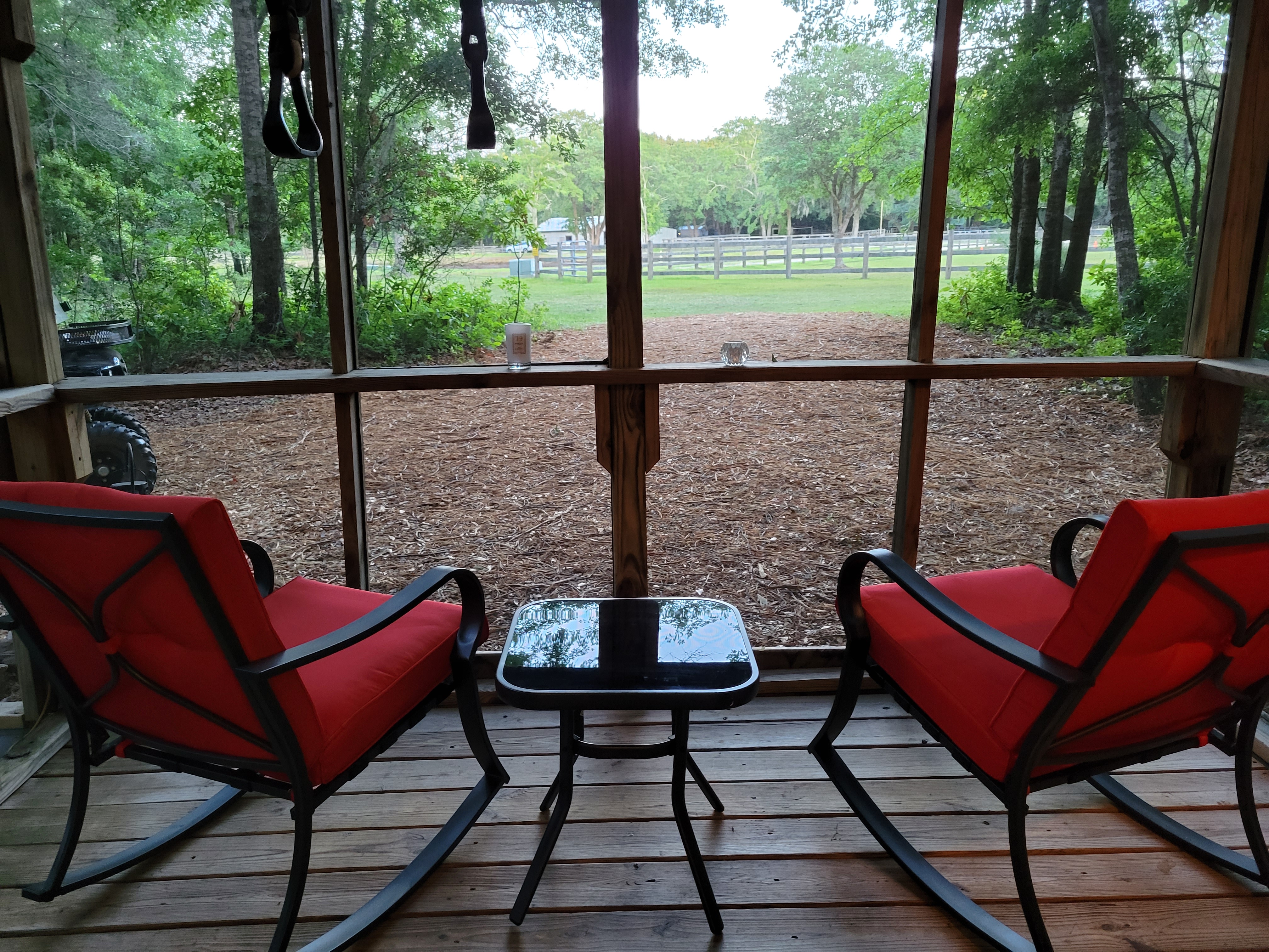 Pet Stay Free, Near Charleston and Kiawah!