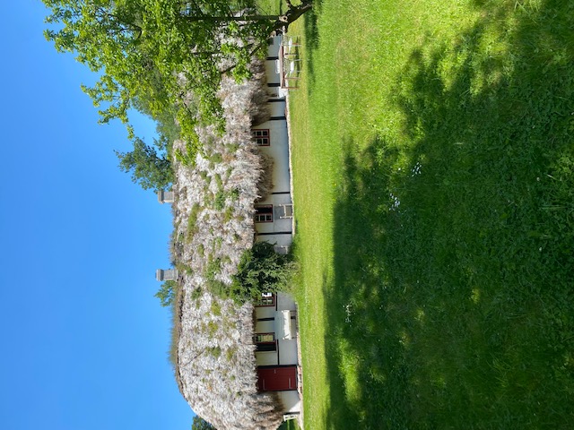 Lovely located Tanghus