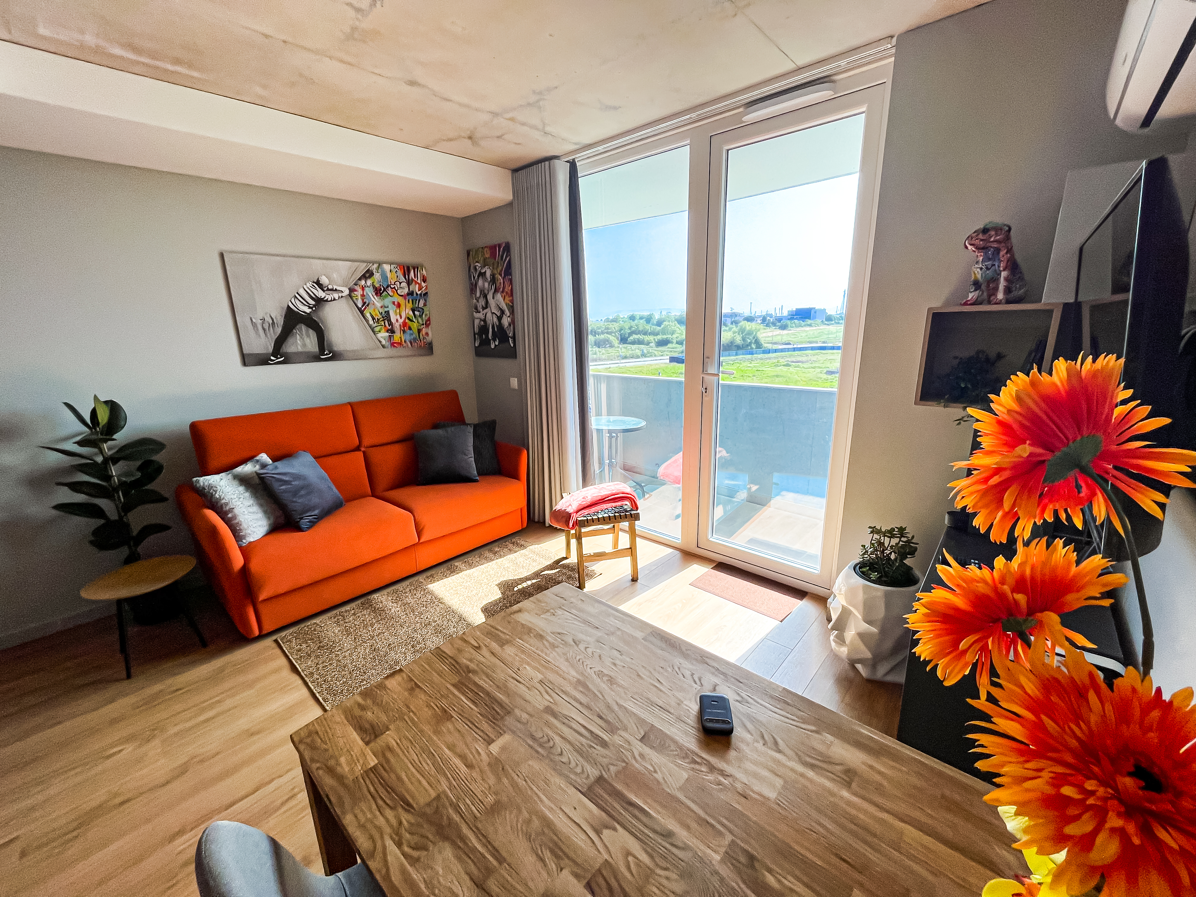 Aveirostar Street Art With Private Garage