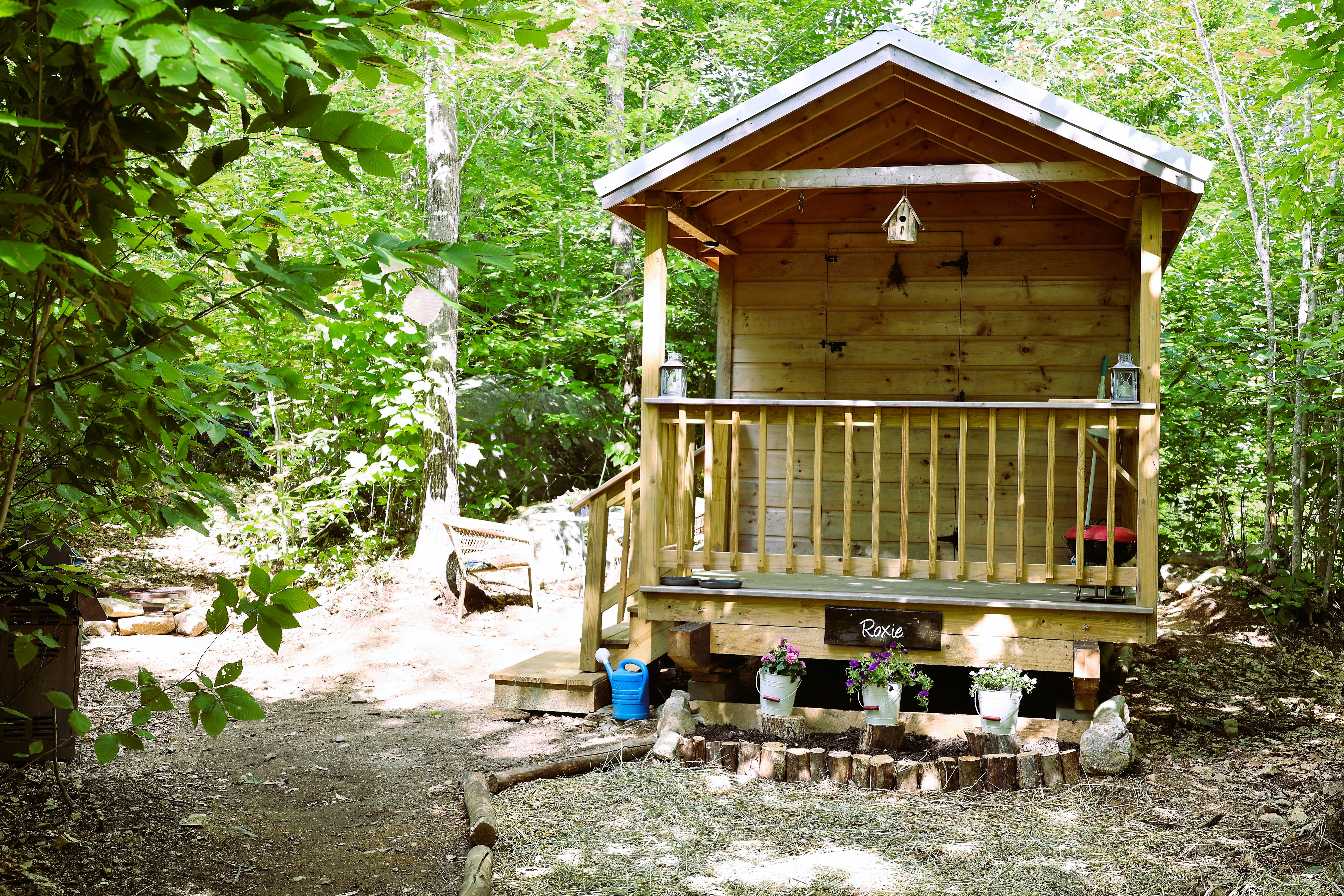 Tiny Cabin on 100 acres