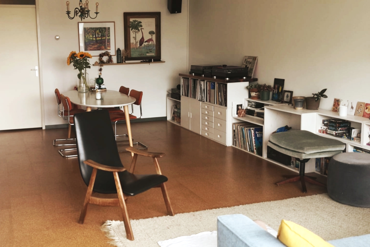 Cozy apartment in Amsterdam Noord — Amsterdam stay
