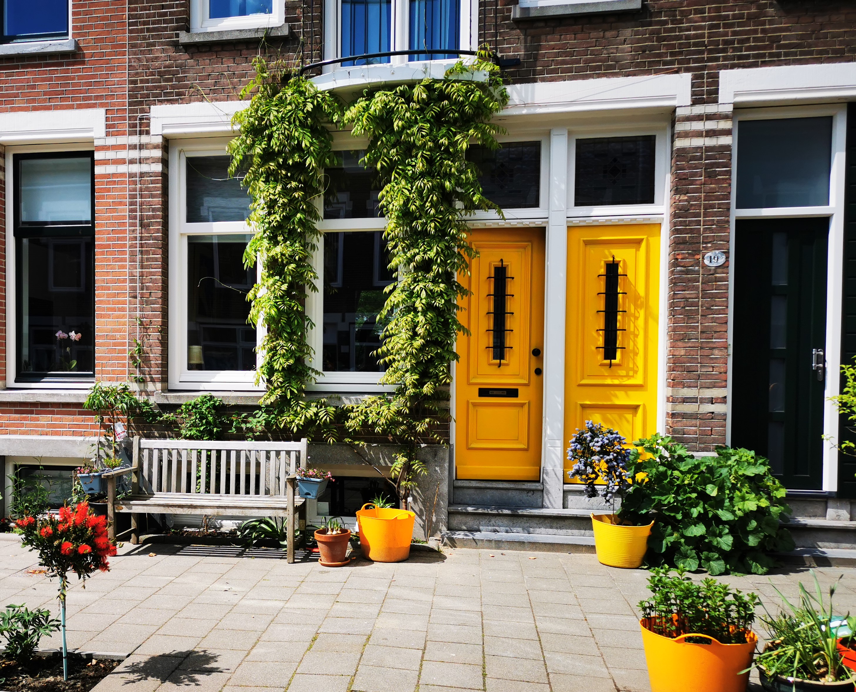 Creatieve woning tussen bos en stad — Rotterdam stay