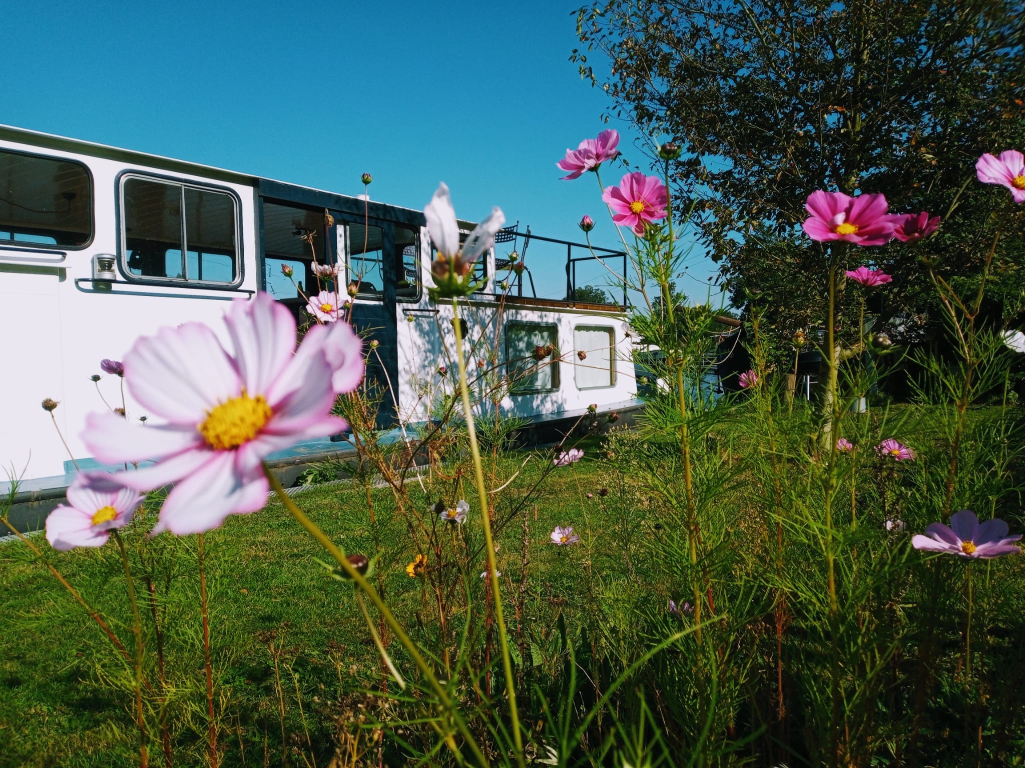 Cozy houseboat in beautiful green surroundings Houseboats for Rent in